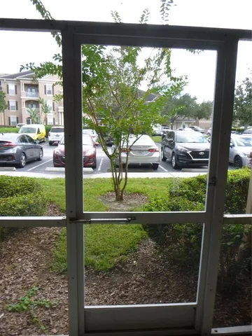 a view of backyard from window