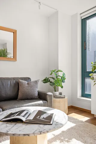 a living room with furniture and a potted plant