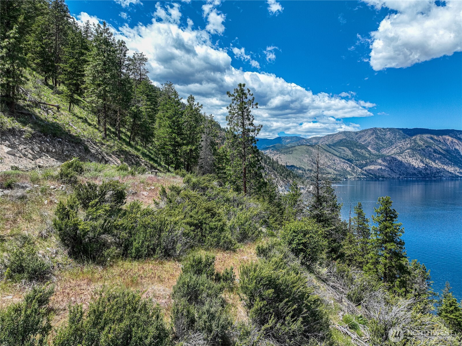4620 South Lakeshore Road Chelan, WA 98816 - Photo 17 of 40 a view of a houses with a yard
