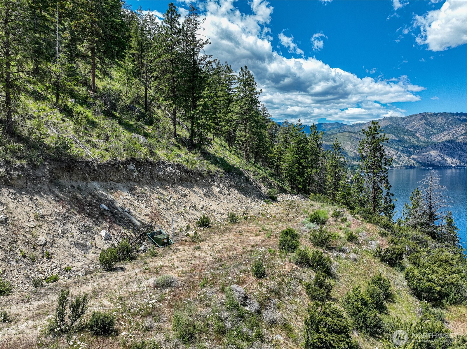 4620 South Lakeshore Road Chelan, WA 98816 - Photo 19 of 40 a view of a yard with a tree