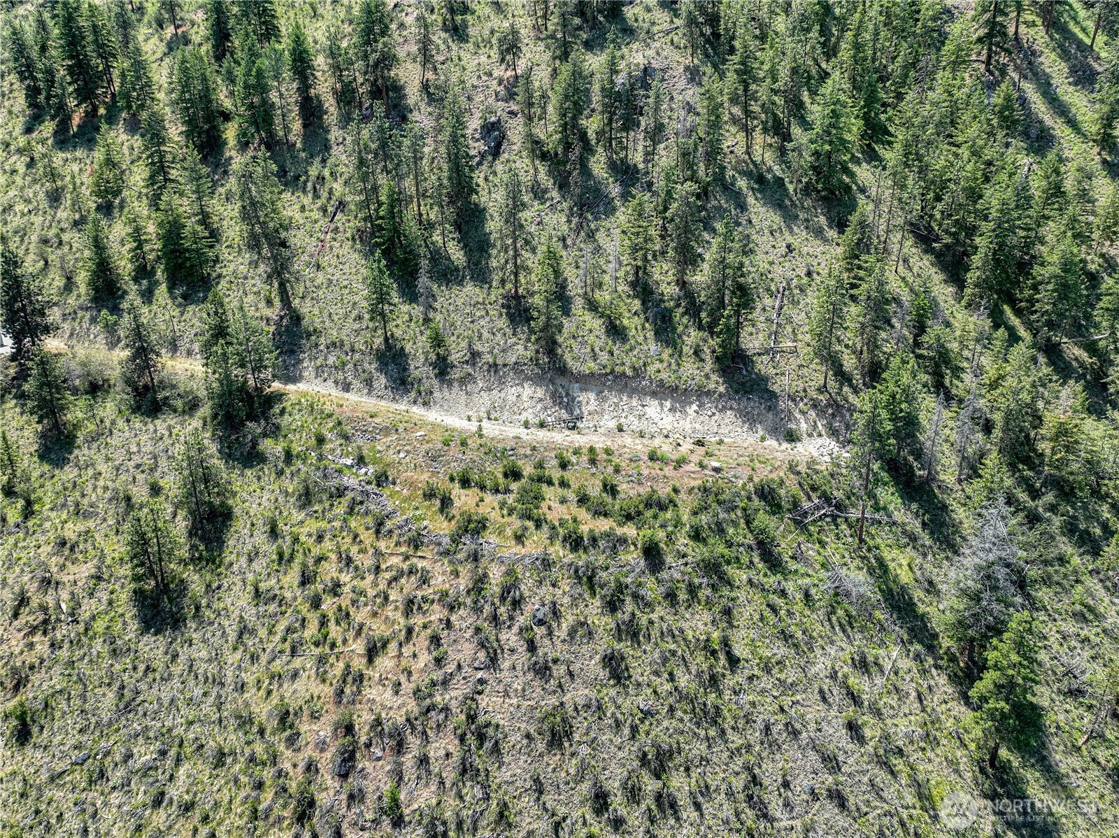 4620 South Lakeshore Road Chelan, WA 98816 - Photo 29 of 40 a view of a yard with plants and large trees