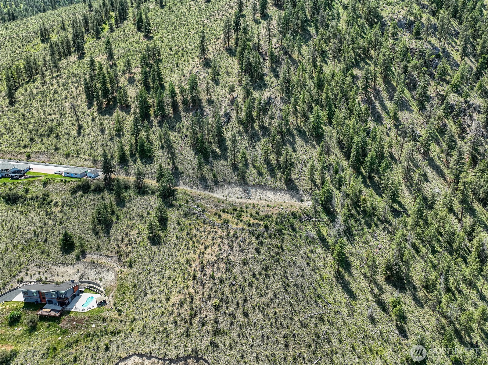 4620 South Lakeshore Road Chelan, WA 98816 - Photo 30 of 40 a view of a yard with plants and large trees