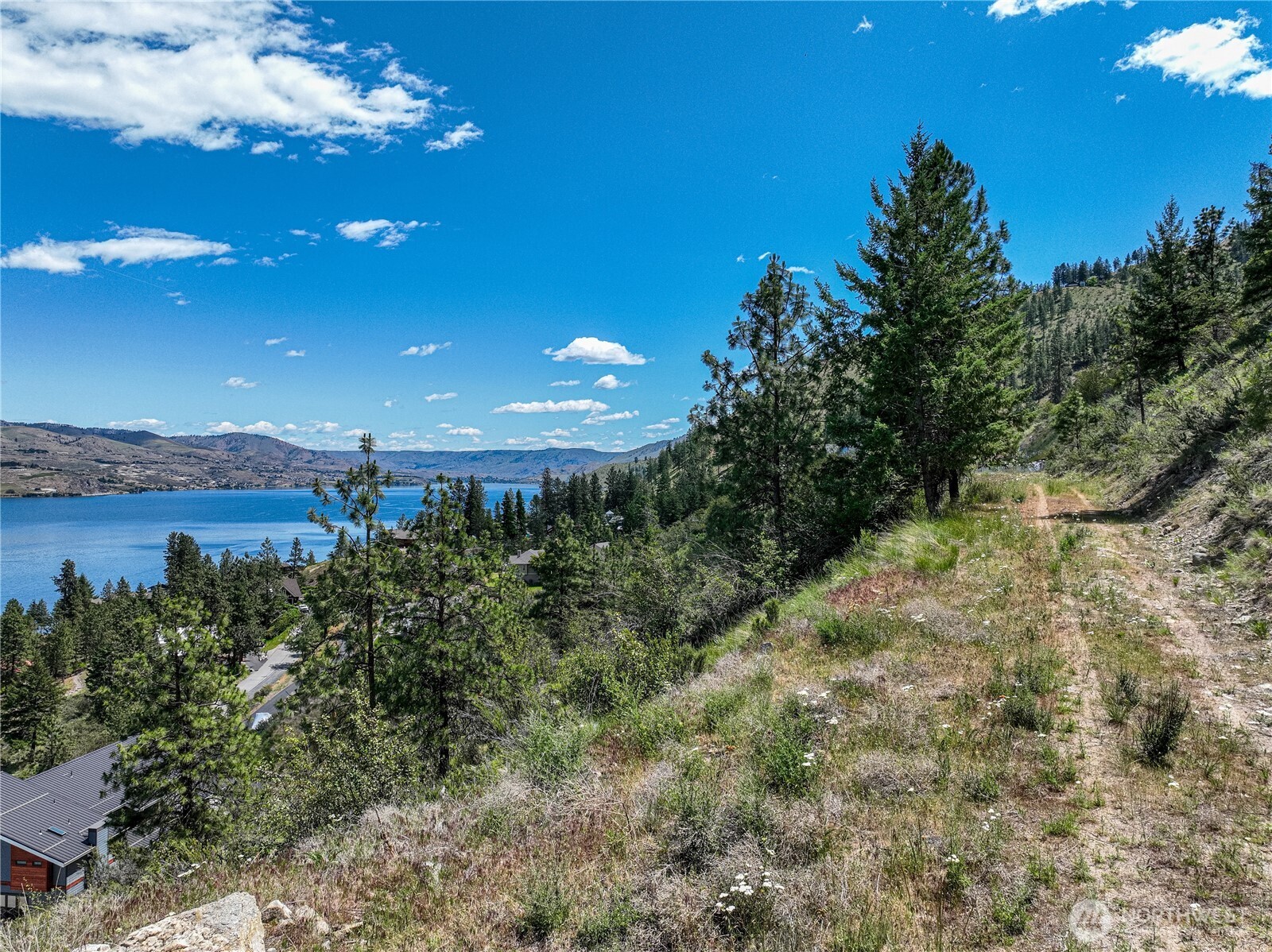 4620 South Lakeshore Road Chelan, WA 98816 - Photo 37 of 40 a view of a bunch of trees in a yard
