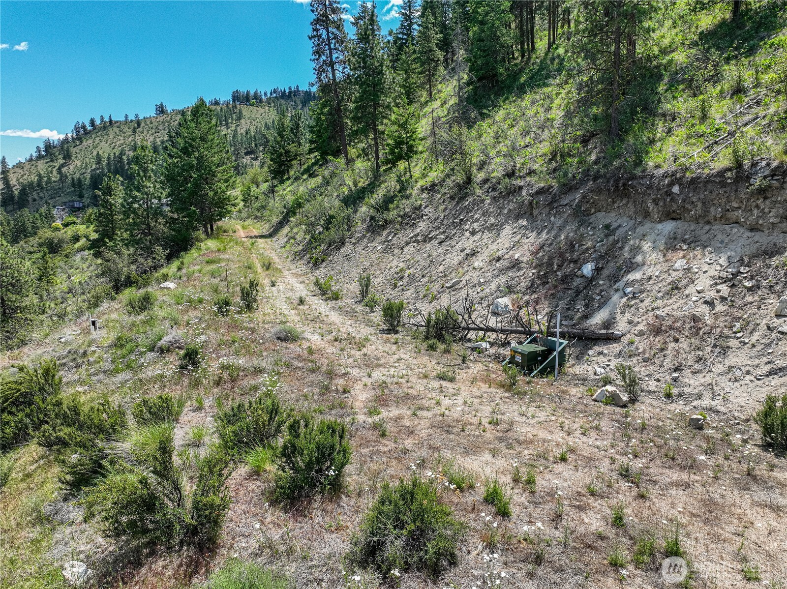 4620 South Lakeshore Road Chelan, WA 98816 - Photo 38 of 40 a view of a forest with trees in the background