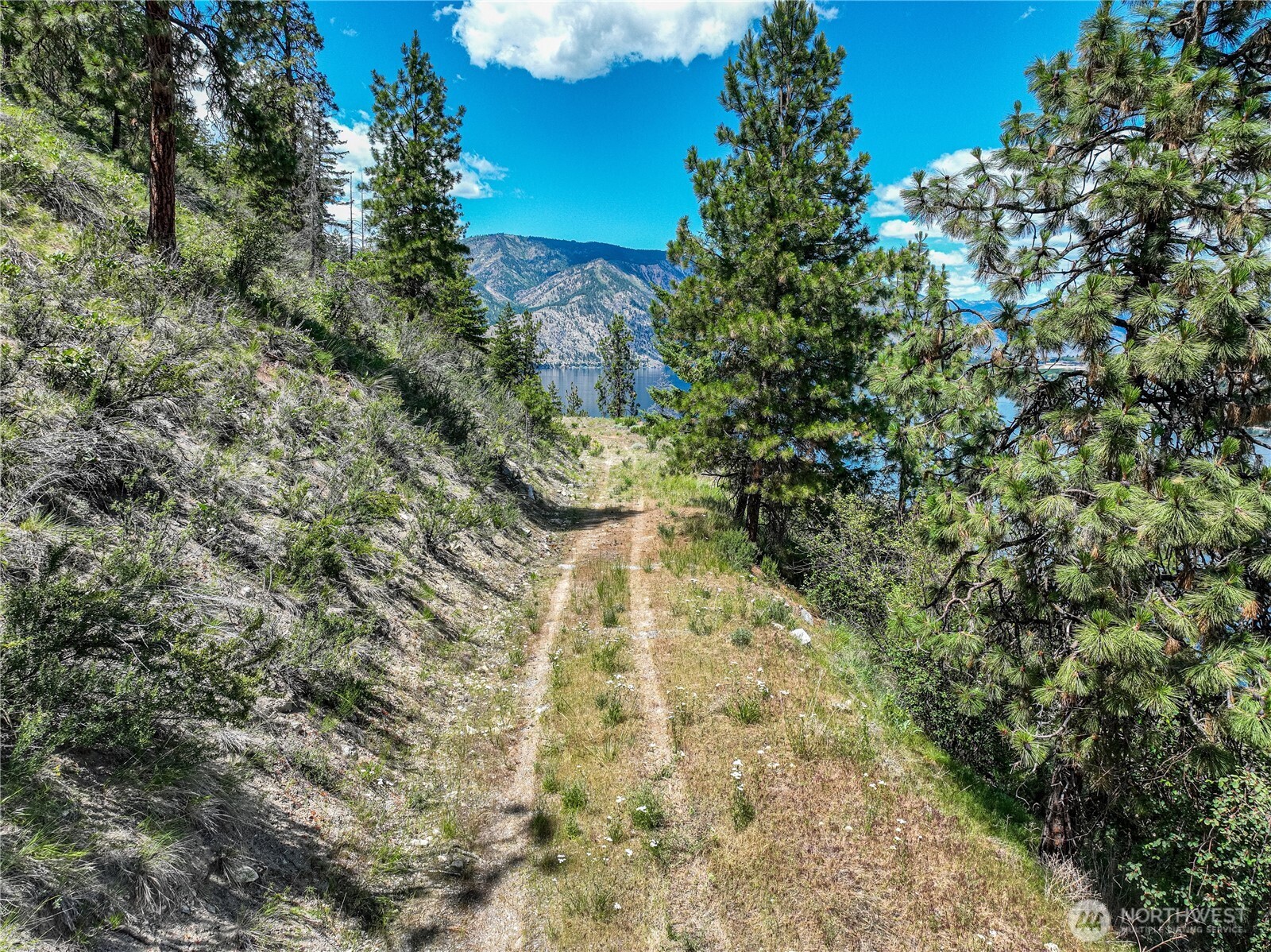 4620 South Lakeshore Road Chelan, WA 98816 - Photo 39 of 40 a view of a yard with plants and large trees