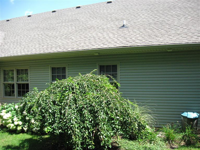 804 Flint Ridge Versailles, KY 40383 - Photo 33 of 44 Photo 33