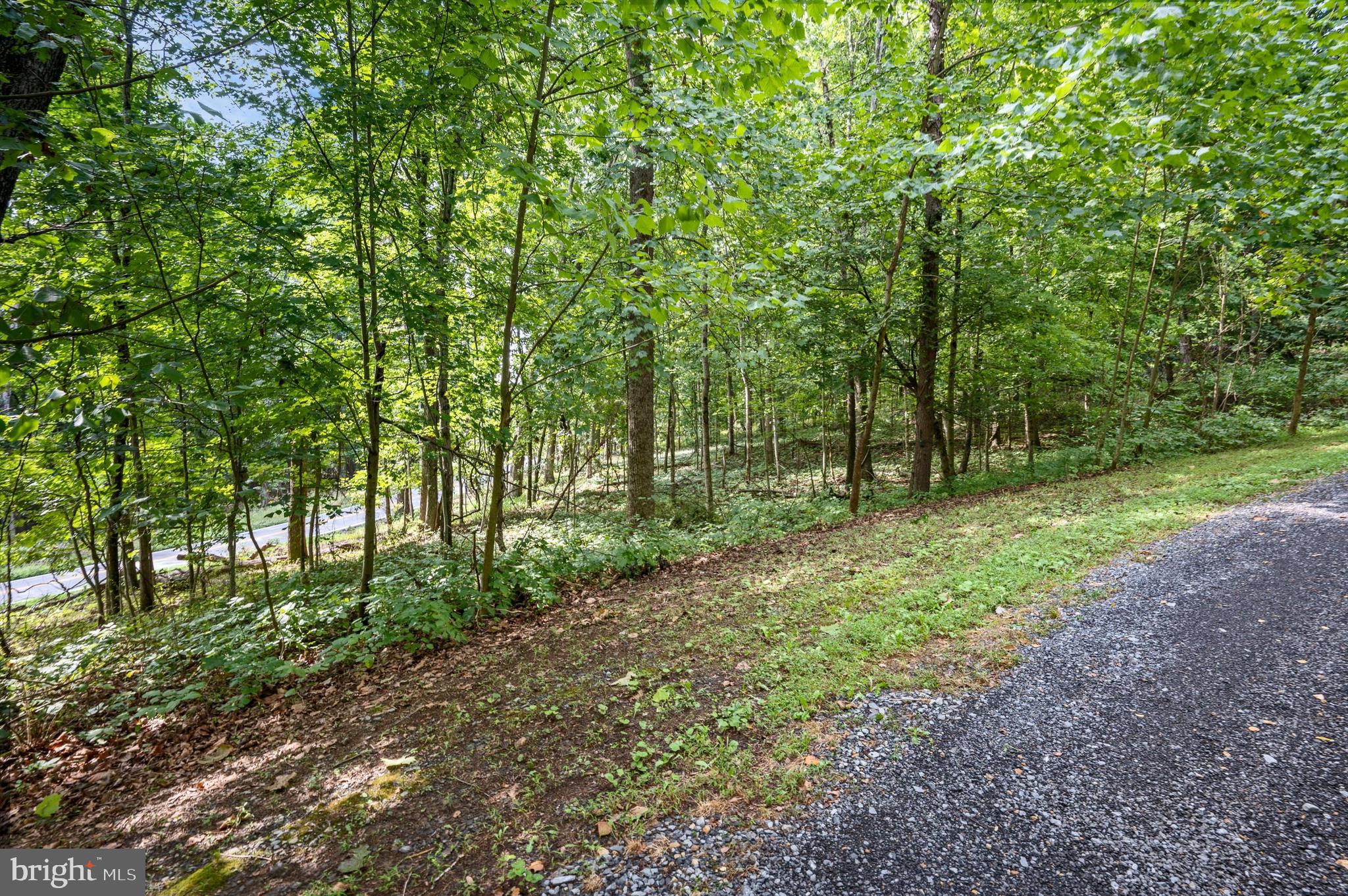 Lot #2 Mission Road Harpers Ferry, WV 25425 - Photo 4 of 11 Gallery Image 4