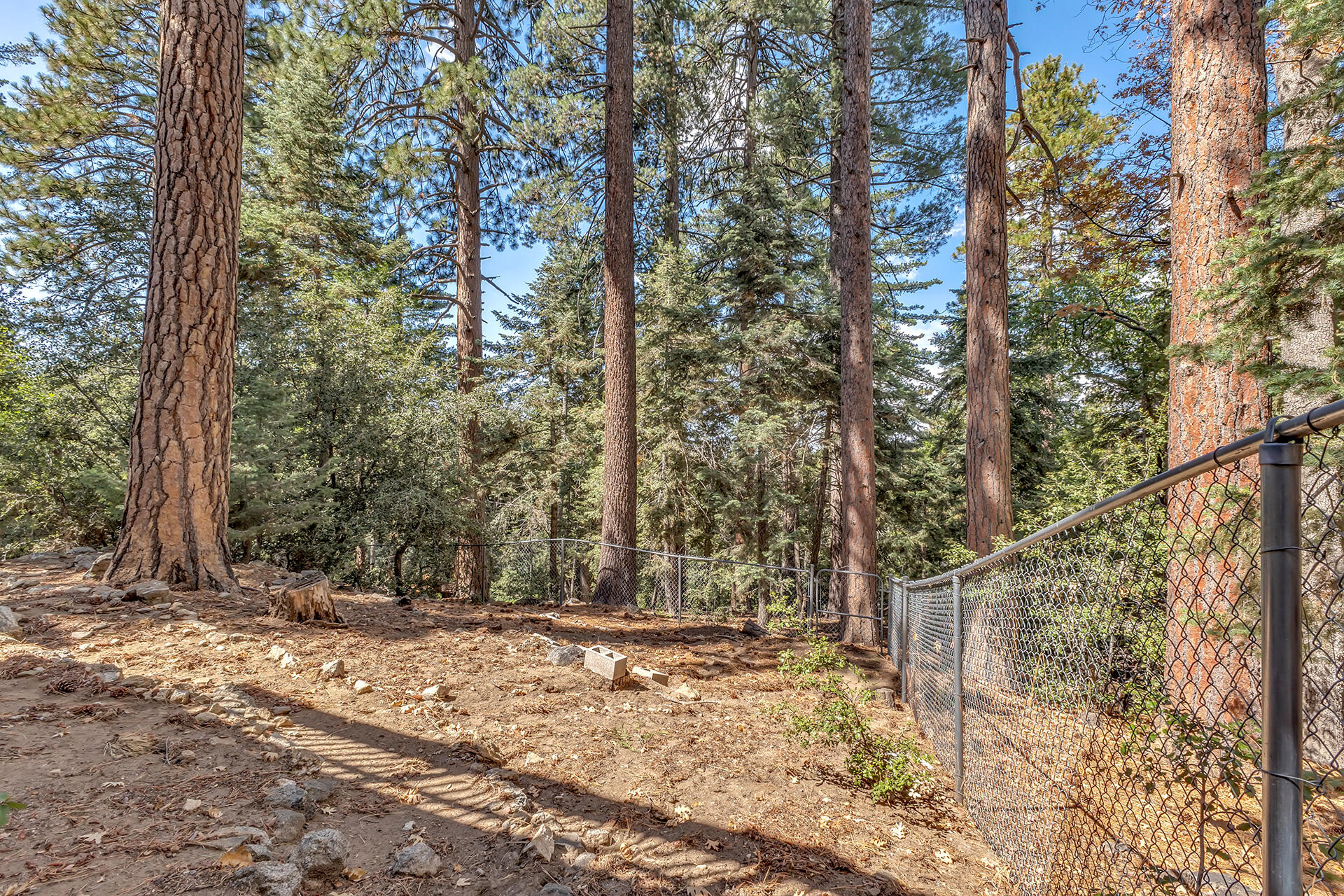 52680 Pine Ridge Road Idyllwild, CA 92549 - Photo 72 of 90 IMG_0485
