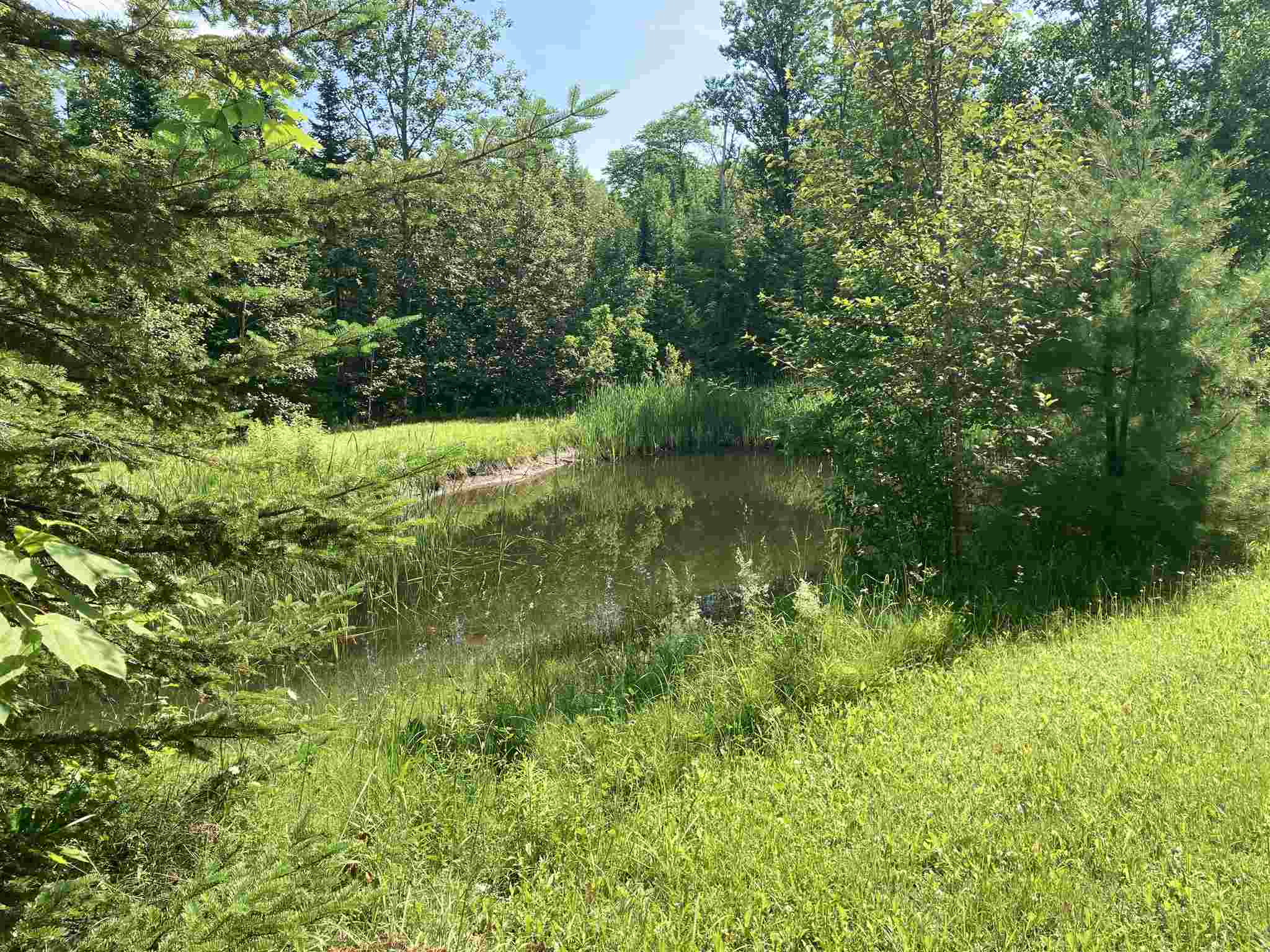 221 Blakely Road Wheelock, VT 05851 - Photo 23 of 26 Gallery Image 23