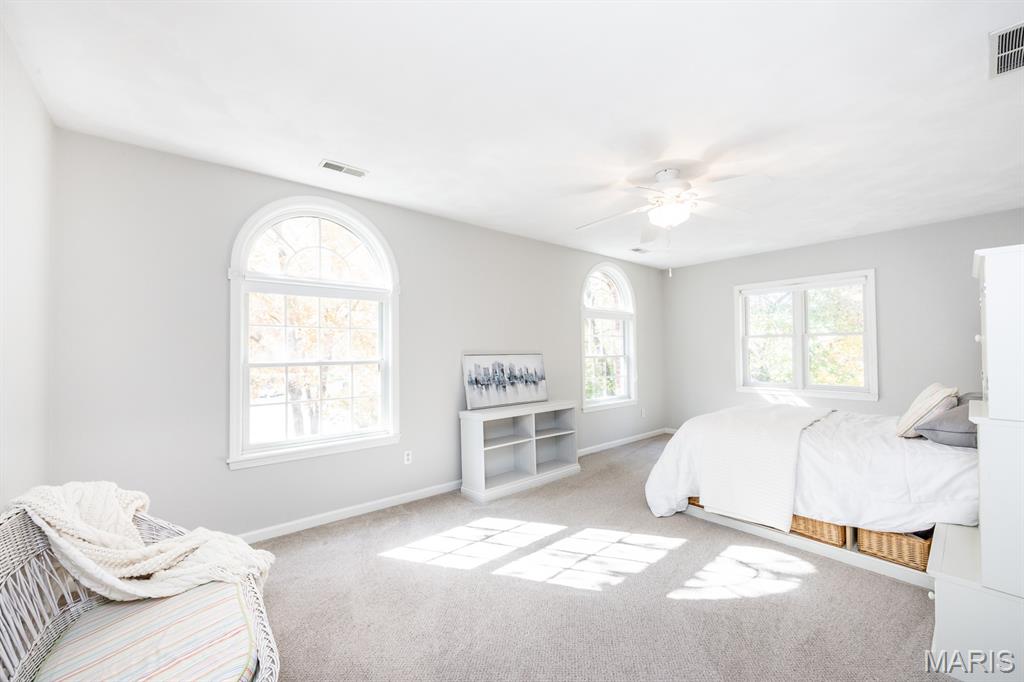 160 Stonehaven Court O'Fallon, IL 62269 - Photo 27 of 67