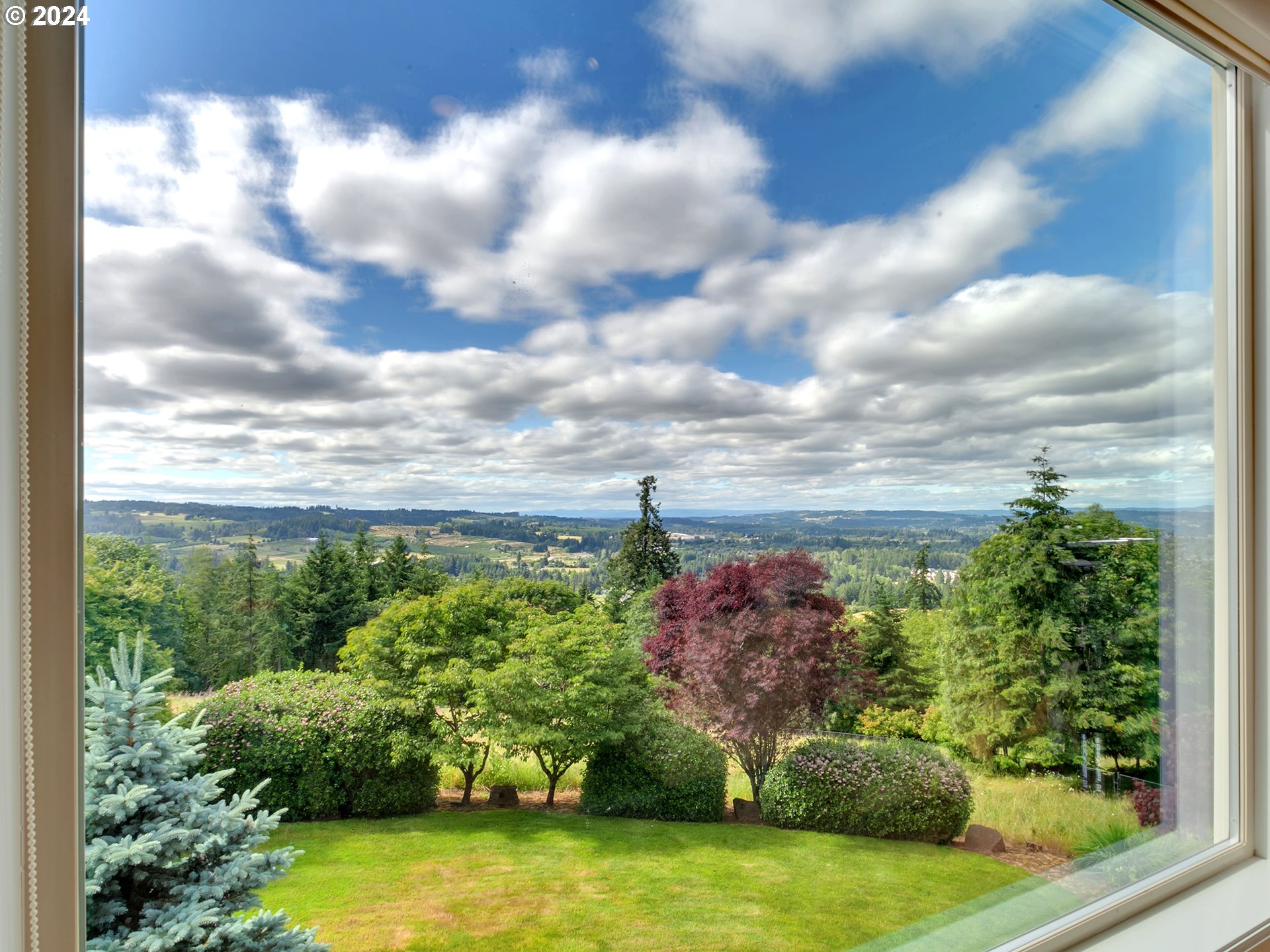 26317 Southwest Labrousse Road Sherwood, OR 97140 - Photo 8 of 38 a view of a garden with plants and large trees