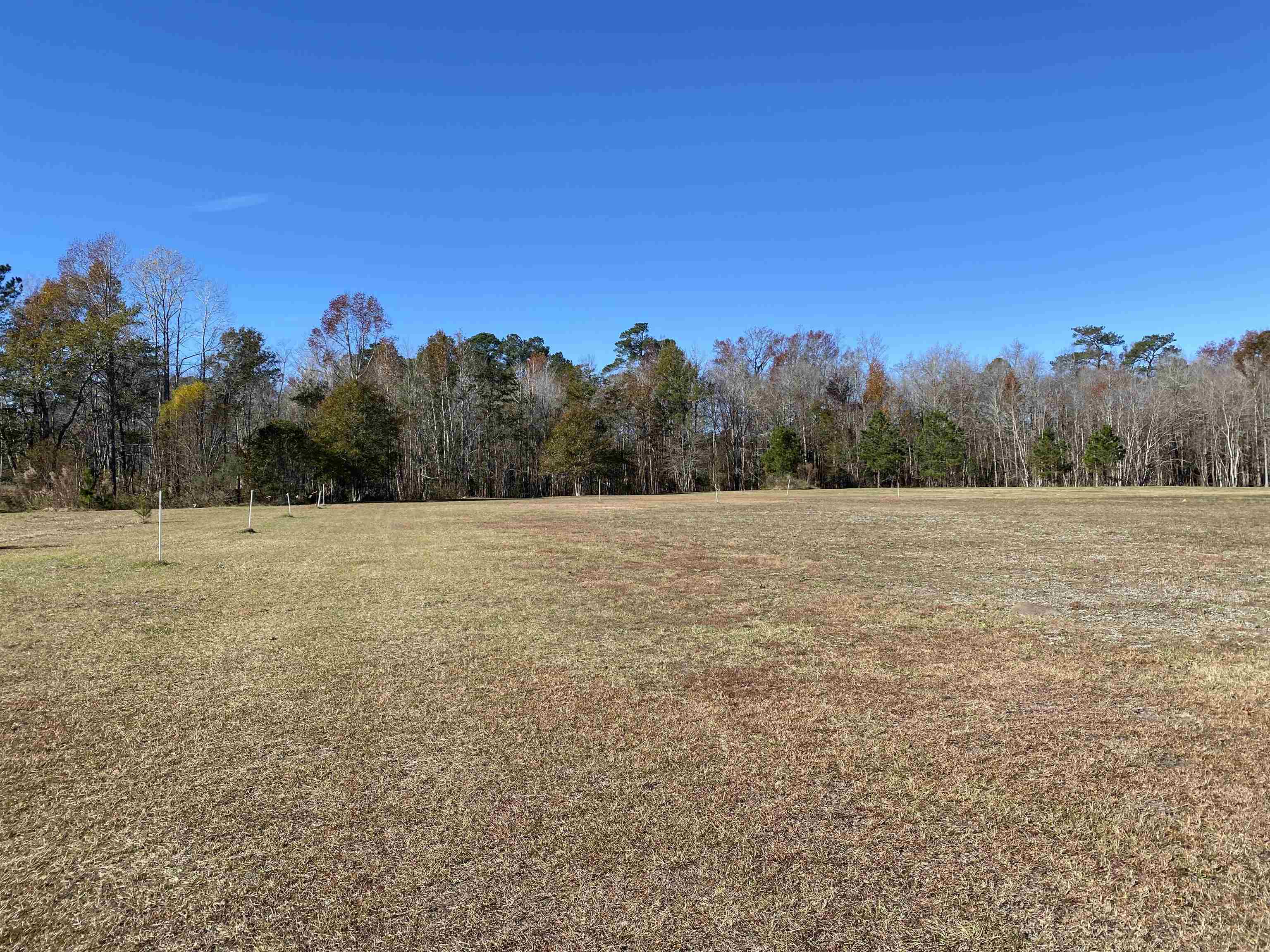 Tbd Tbd Marigold Road Conway, SC 29527 - Photo 1 of 5 Gallery Image 1