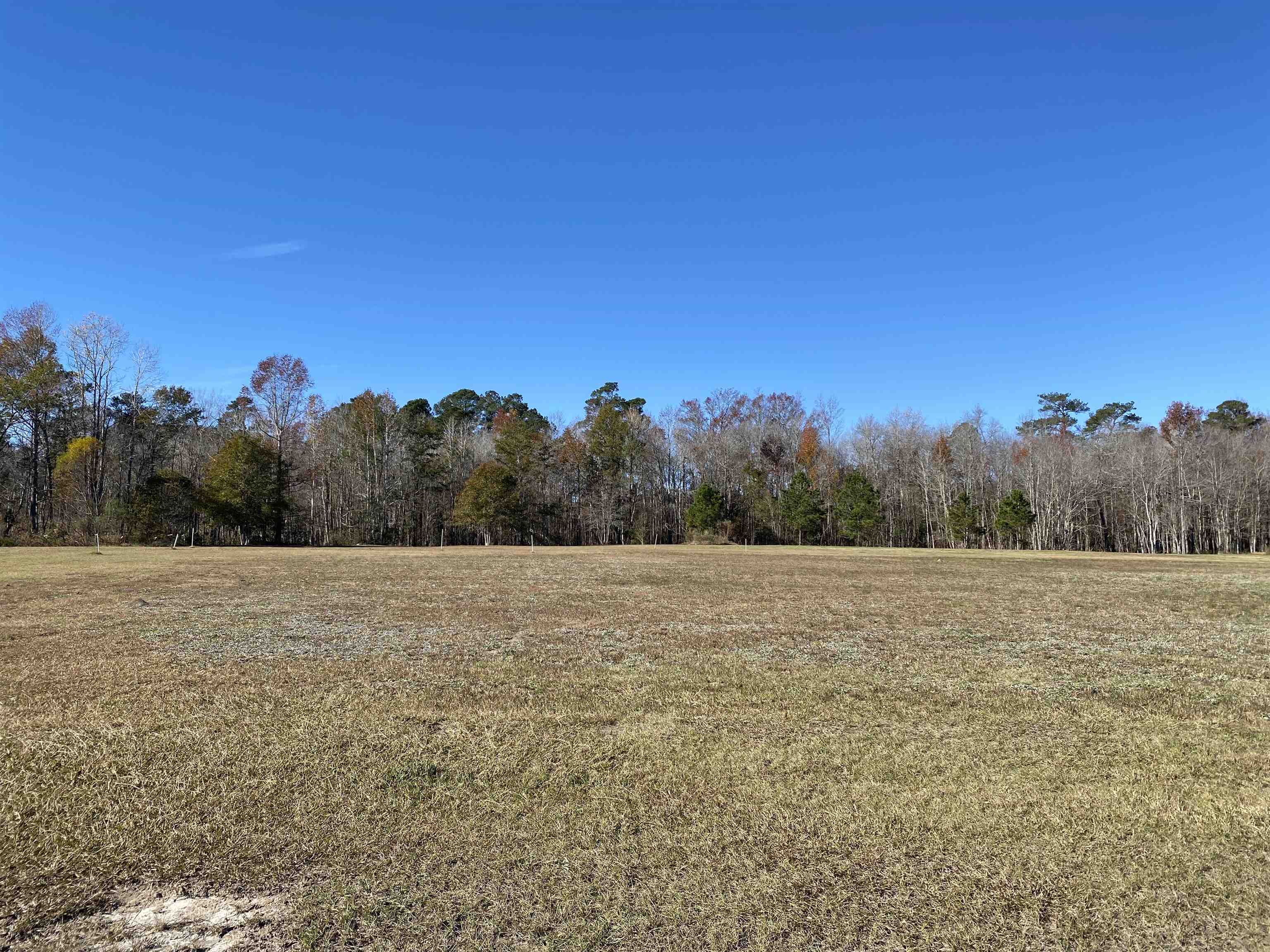 Tbd Tbd Marigold Road Conway, SC 29527 - Photo 2 of 5 Gallery Image 2