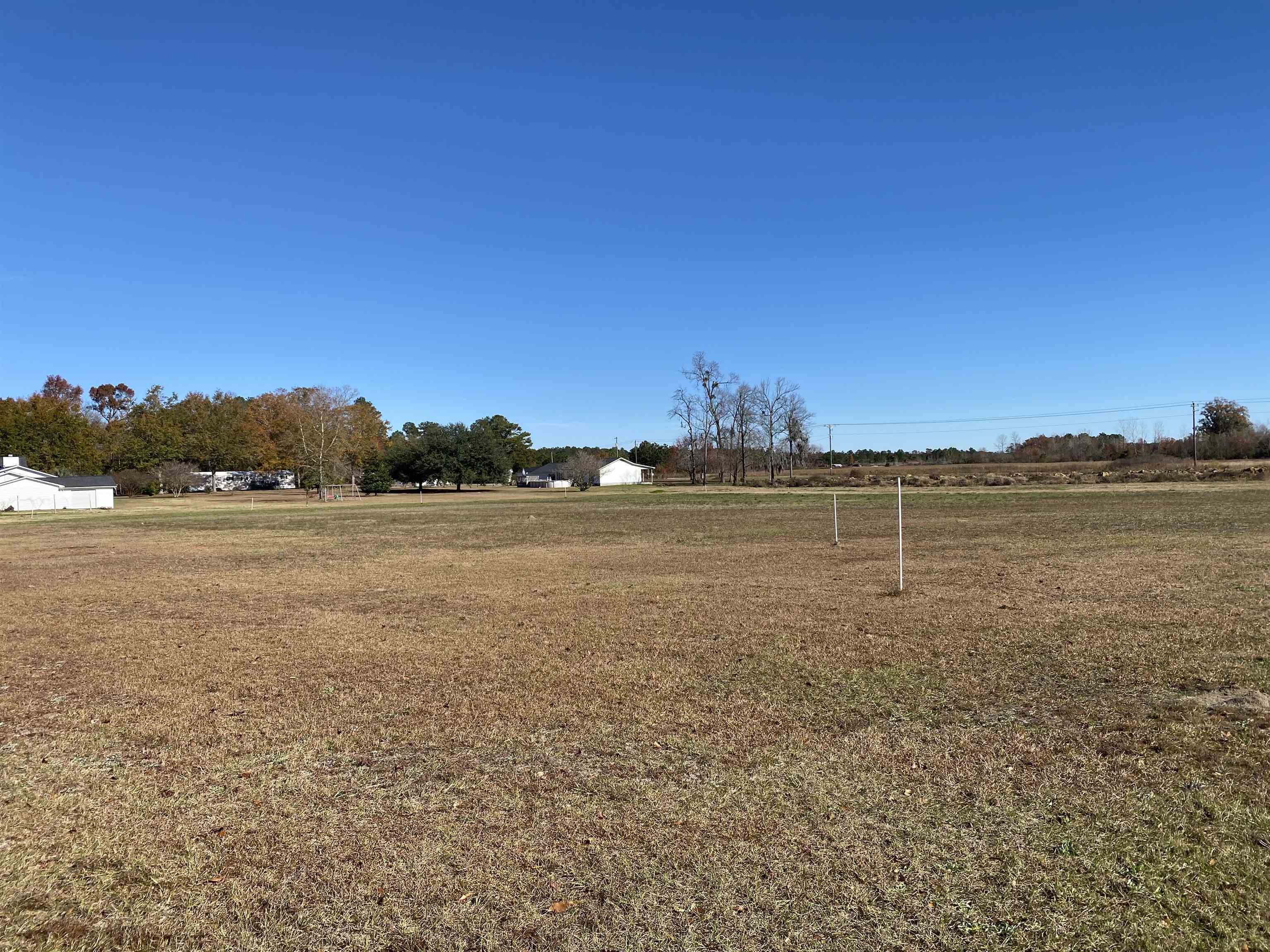 Tbd Tbd Marigold Road Conway, SC 29527 - Photo 3 of 5 Gallery Image 3
