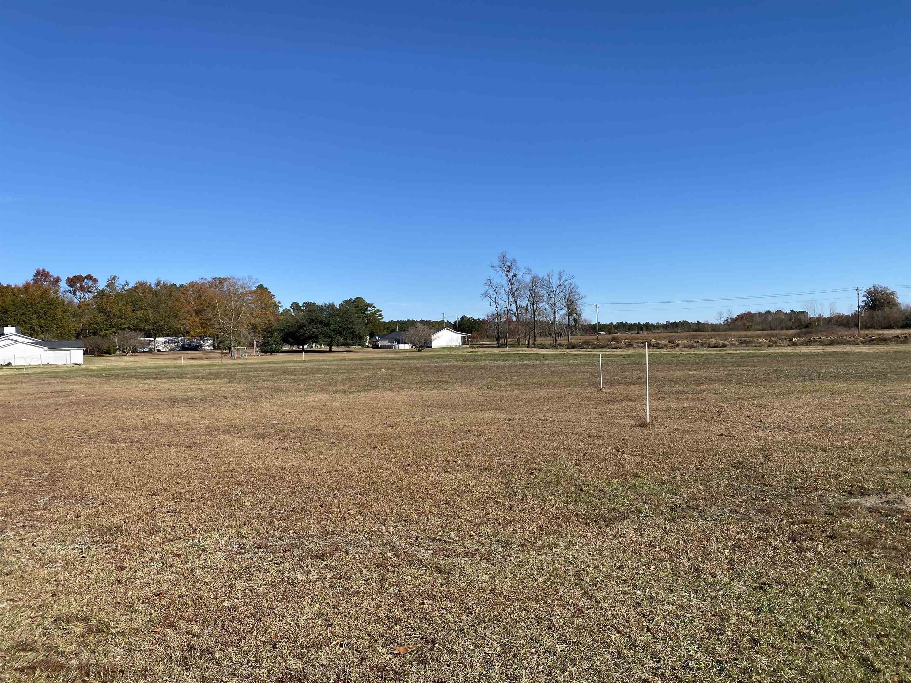 Tbd Tbd Marigold Road Conway, SC 29527 - Photo 4 of 5 Gallery Image 4