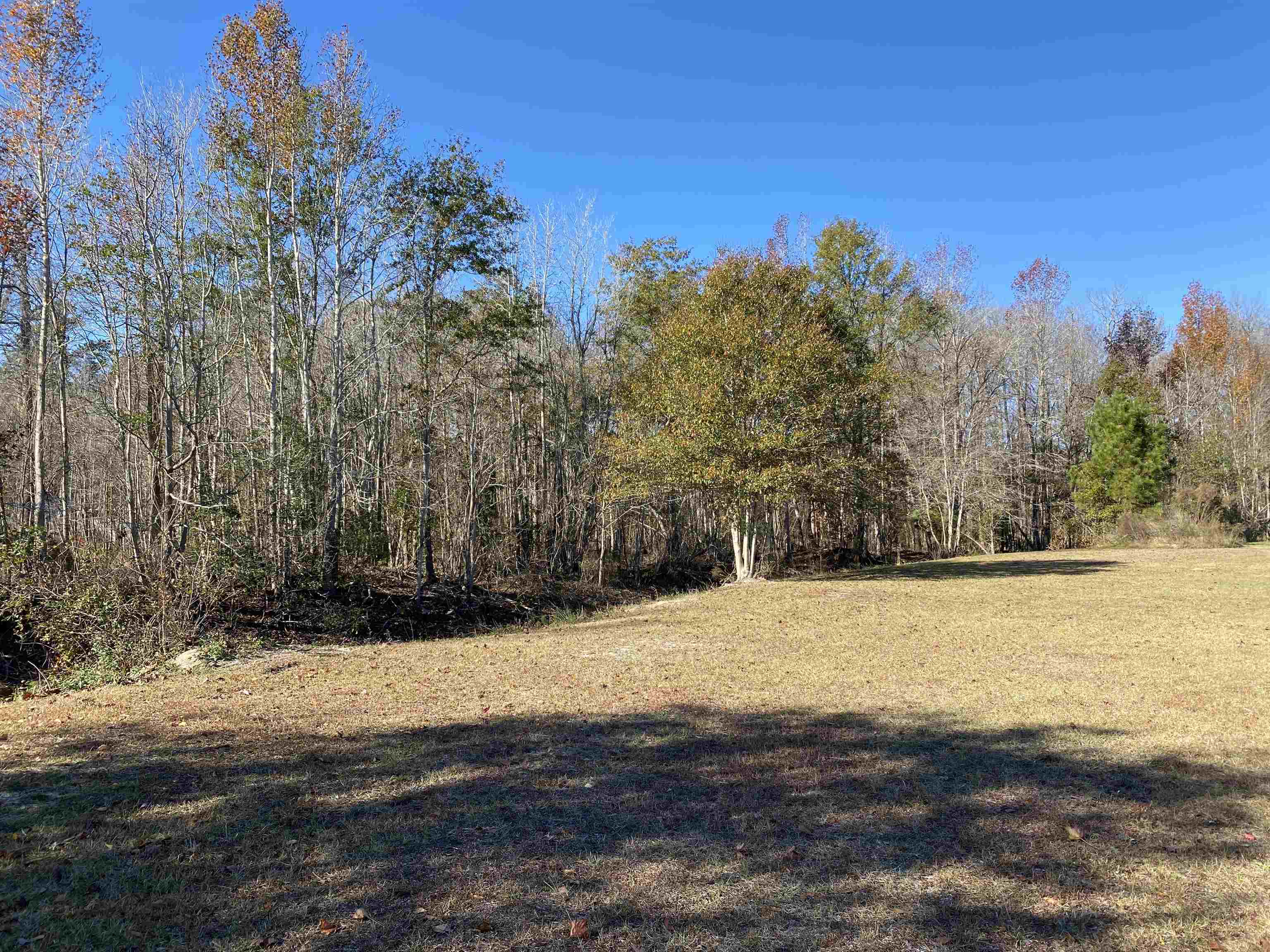 Tbd Tbd Marigold Road Conway, SC 29527 - Photo 5 of 5 Gallery Image 5