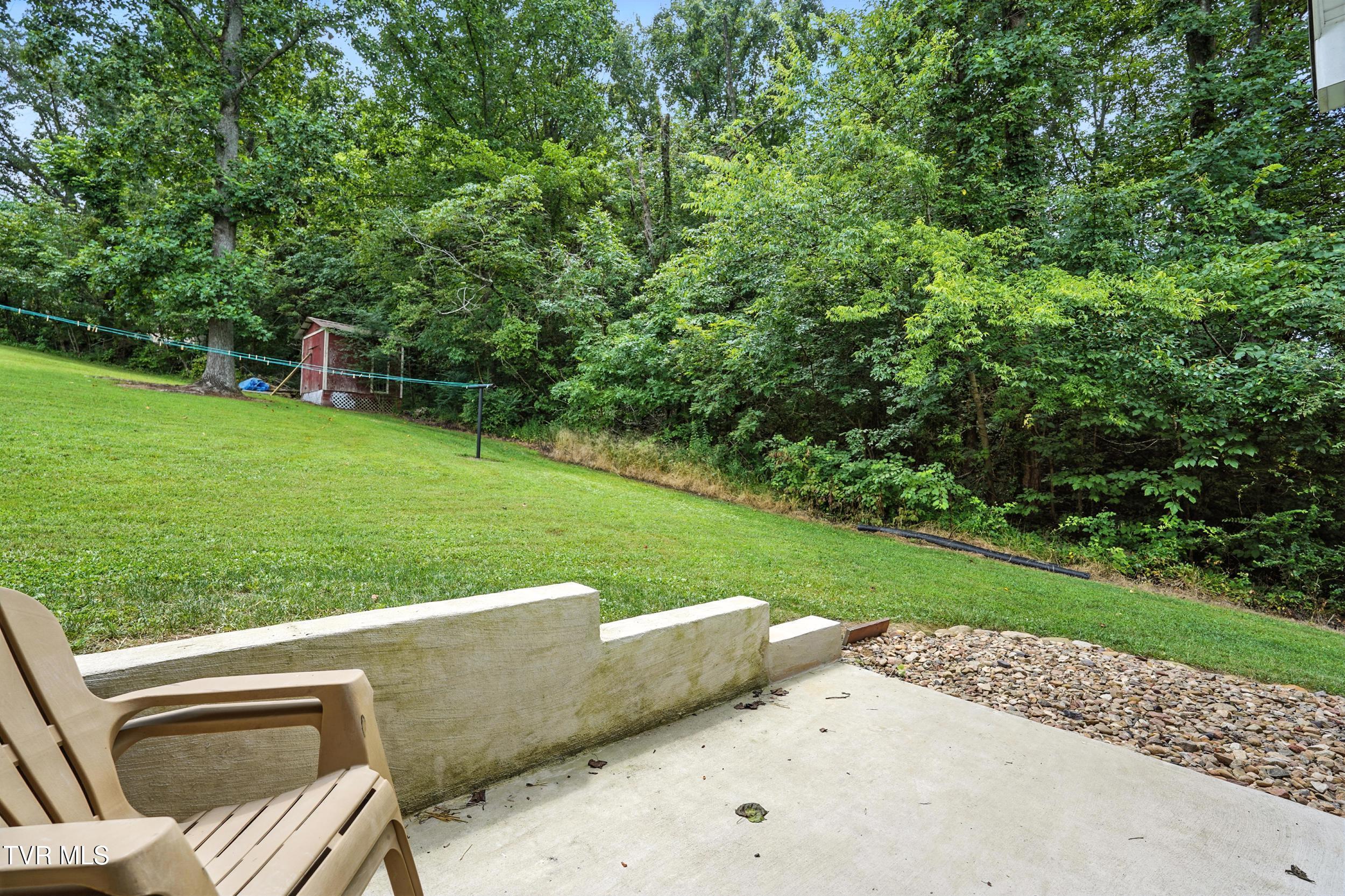 3270 Ripley Island Road Afton, TN 37616 - Photo 49 of 66 51_dsc01438