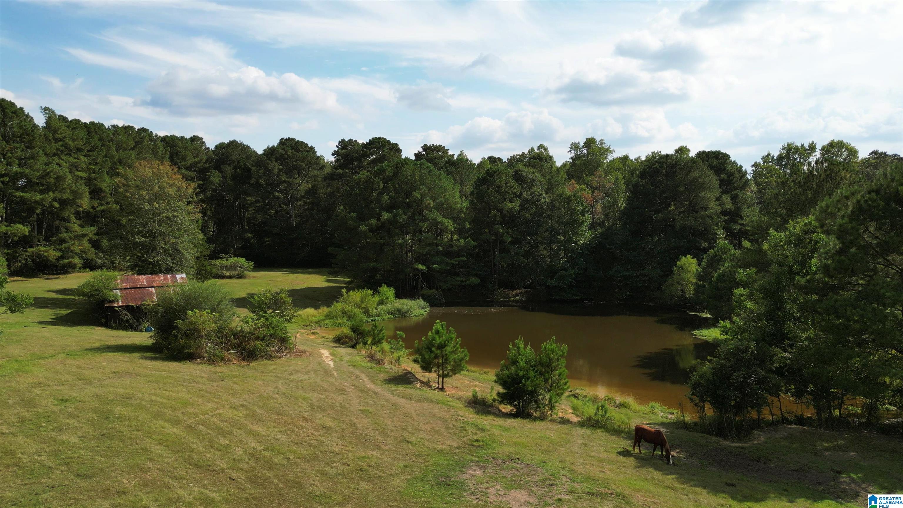 1417 Steve Crowder Road Bessemer, AL 35023 - Photo 2 of 27