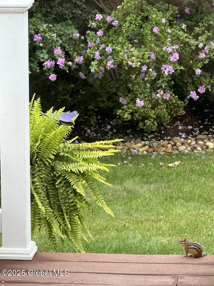 28 Greyledge Drive Albany, NY 12211 - Photo 41 of 41 IMG_3165