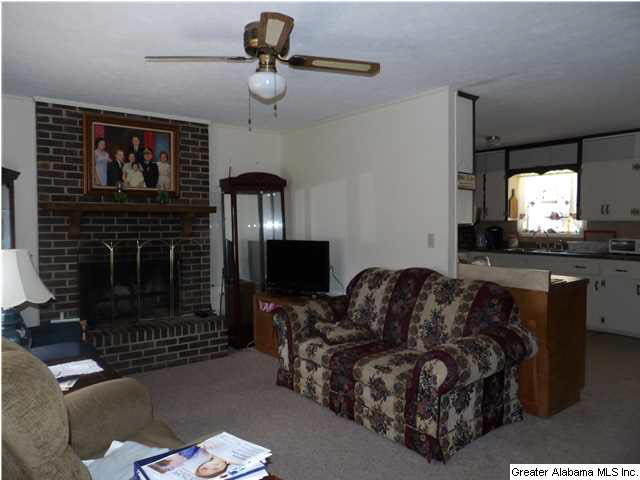 1290 Iron City Road Anniston, AL 36207 - Photo 2 of 11