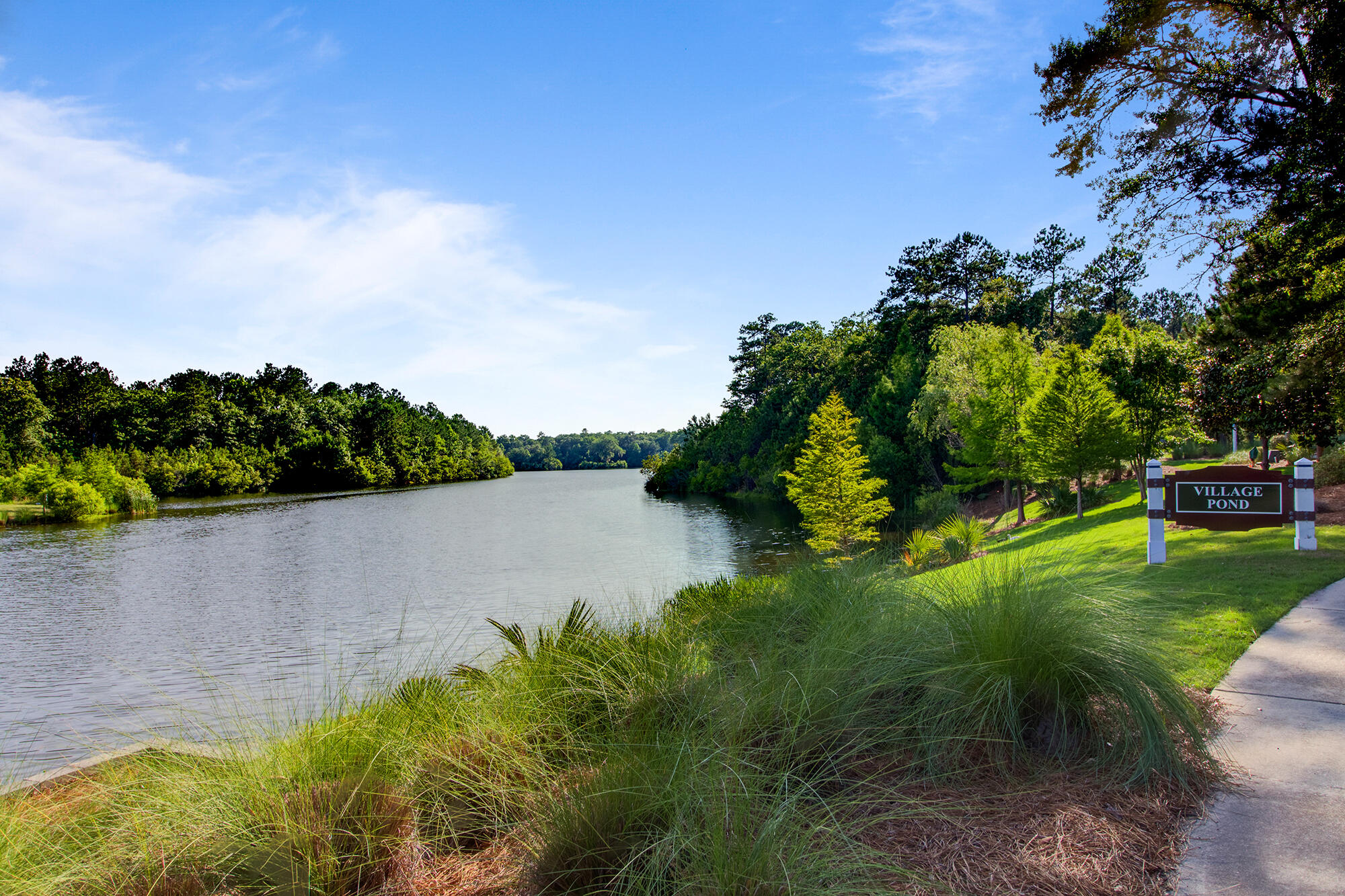 237 Ribbon Road Summerville, SC 29483 - Photo 64 of 79 Gallery Image 64
