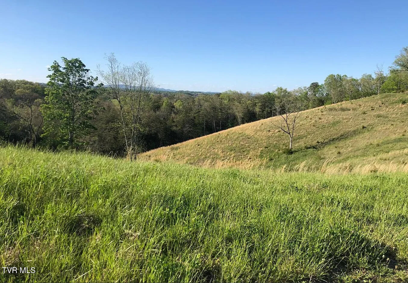 3456 Warrensburg Road, Unit 17 Whitesburg, TN 37891 - Photo 33 of 83 _Pic47
