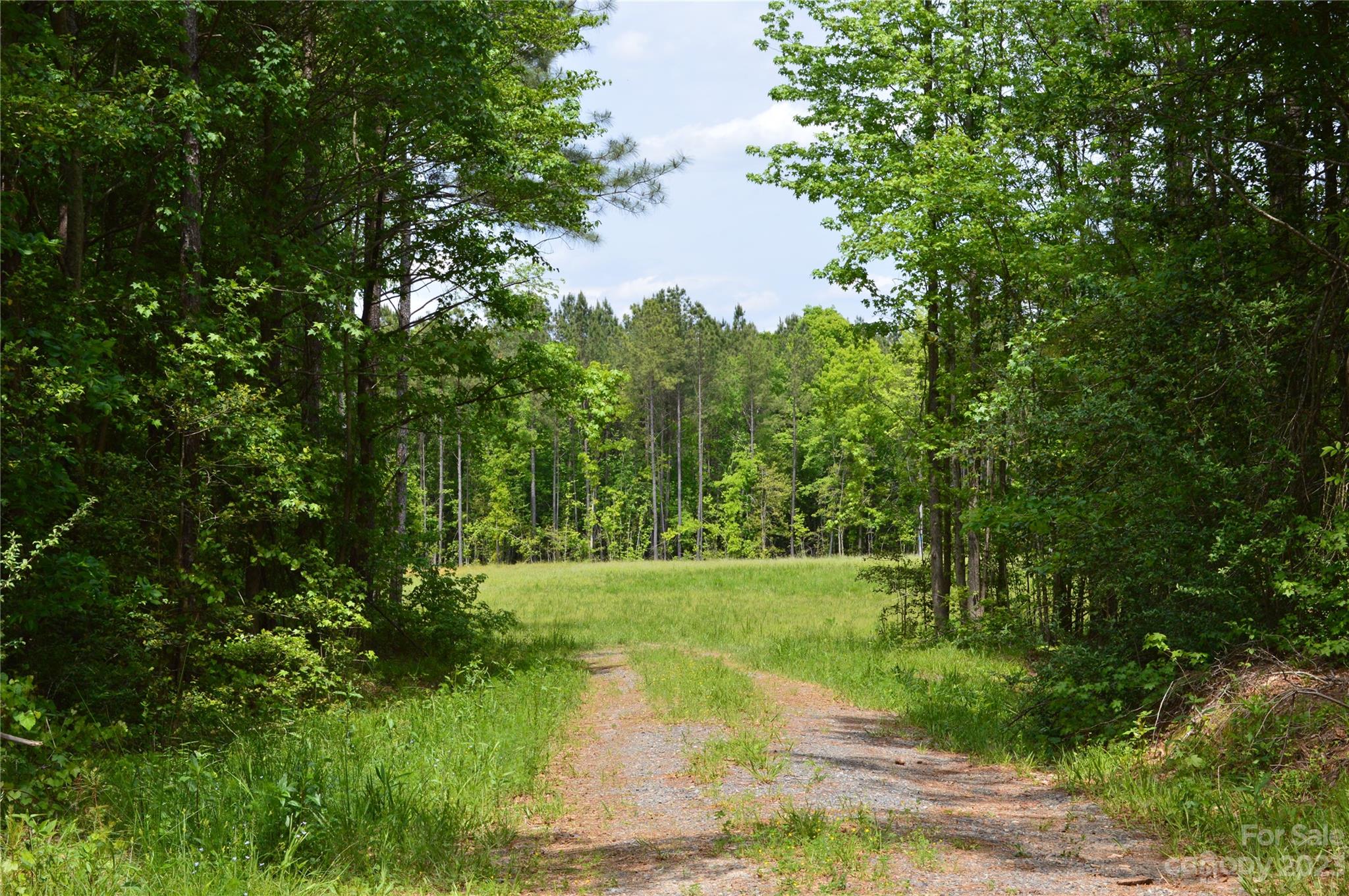 0 Reservation Road Catawba, SC 29704 - Photo 3 of 7