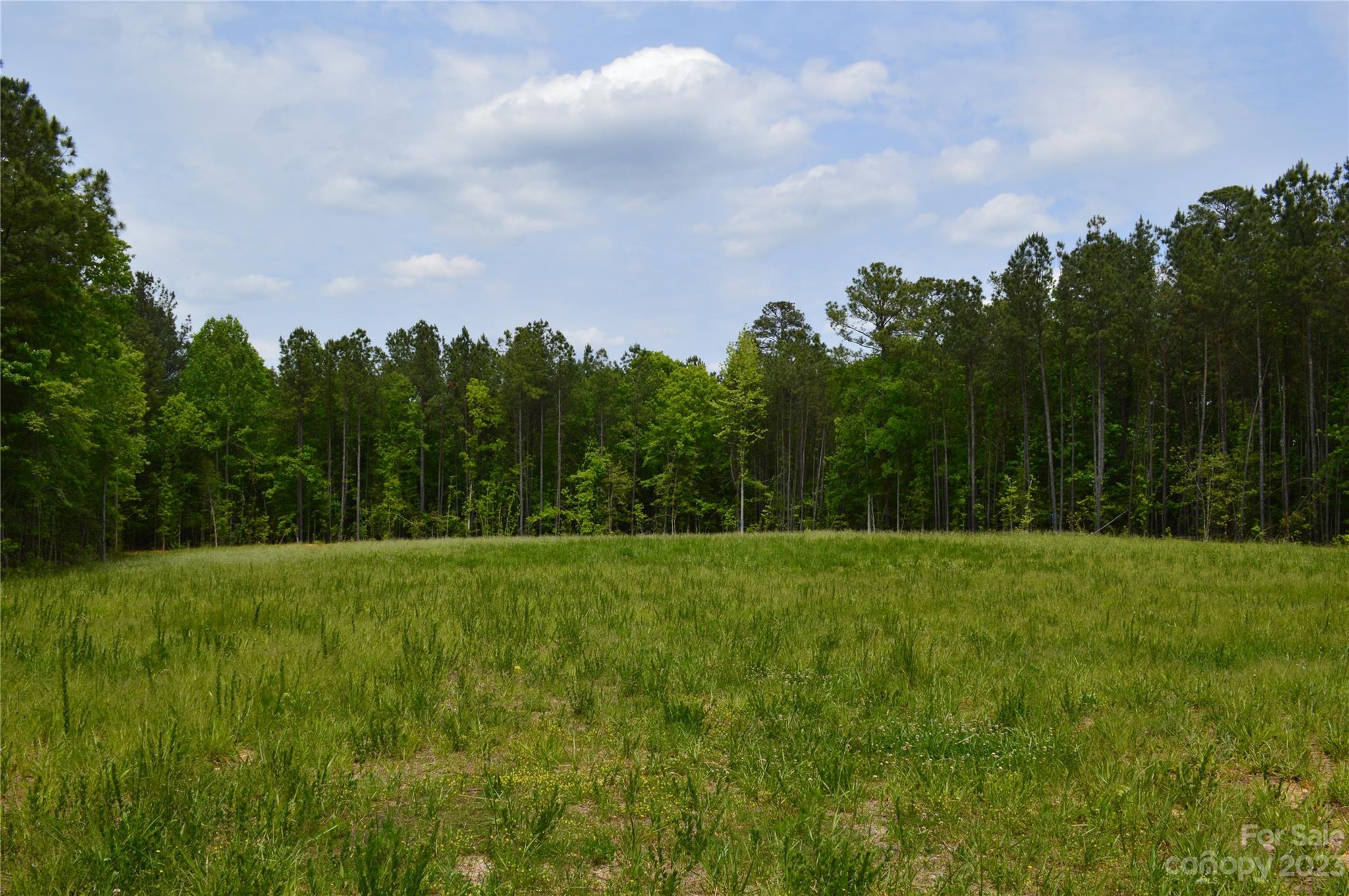 0 Reservation Road Catawba, SC 29704 - Photo 5 of 7 a view of a big yard with large trees