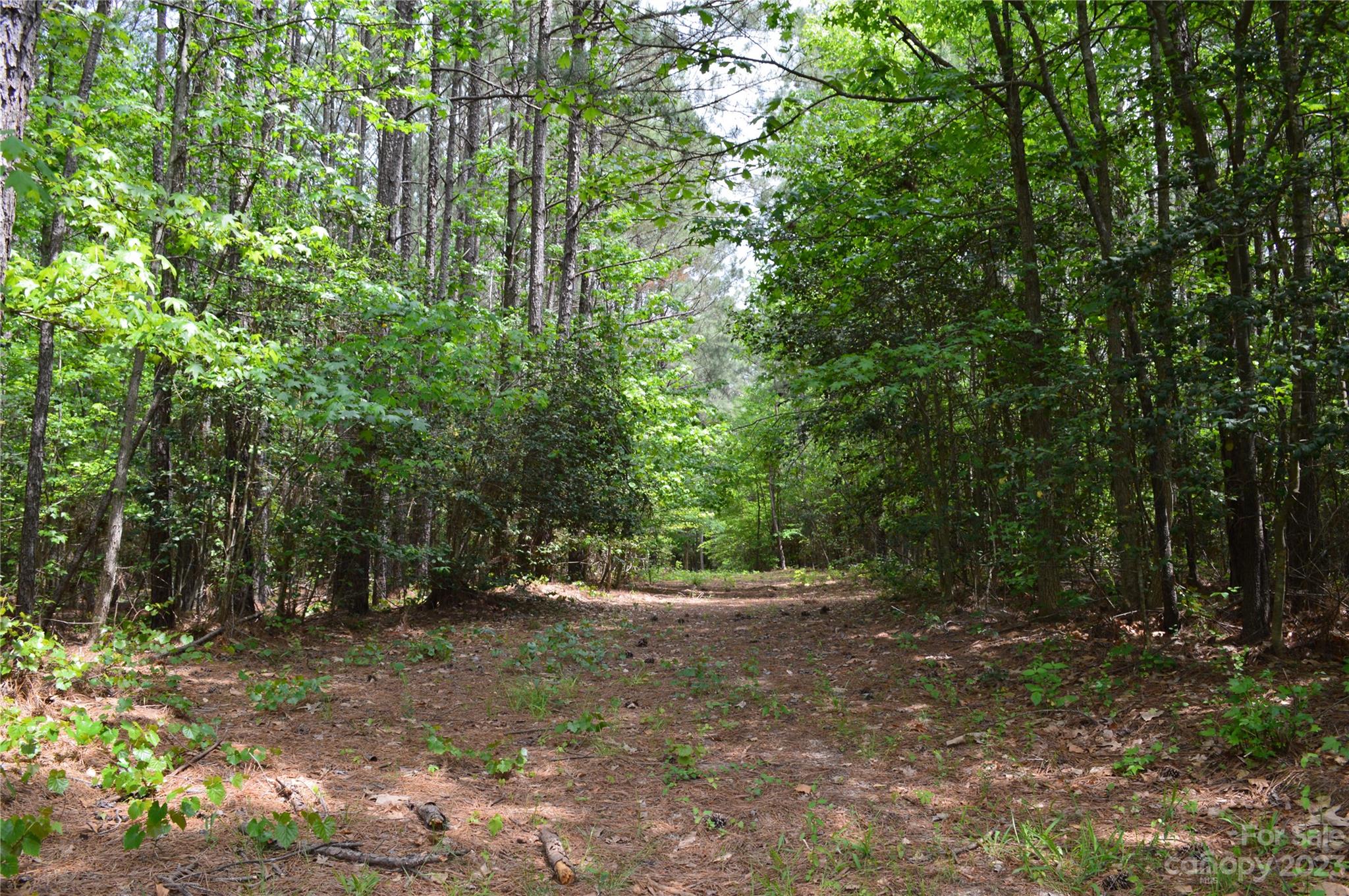 0 Reservation Road Catawba, SC 29704 - Photo 7 of 7 a view of outdoor space and tree
