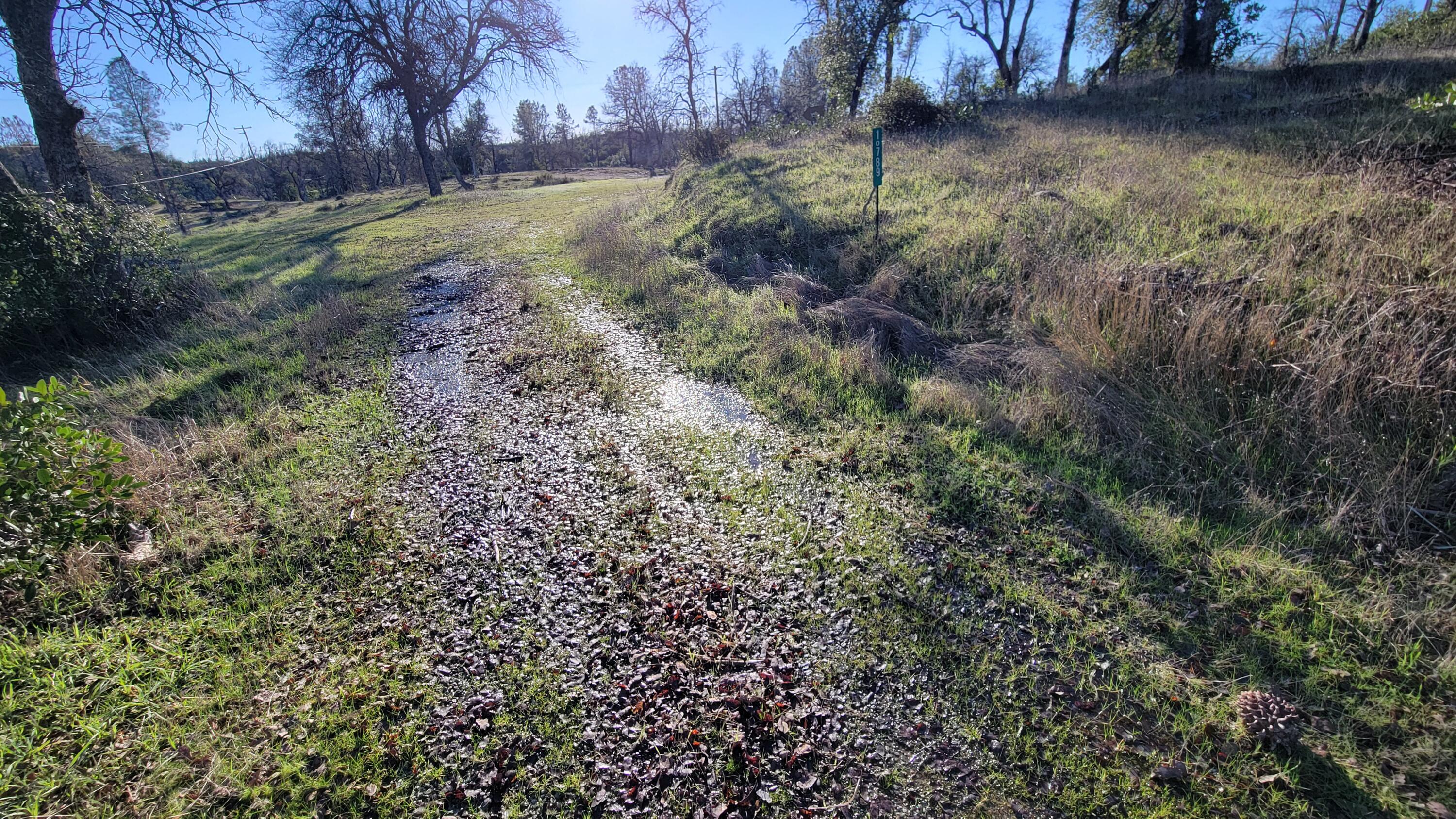 10789 Beehive Road Redding, CA 96001 - Photo 2 of 9 a view of a yard with a tree