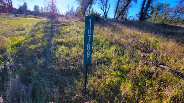 a view of a lake from a yard