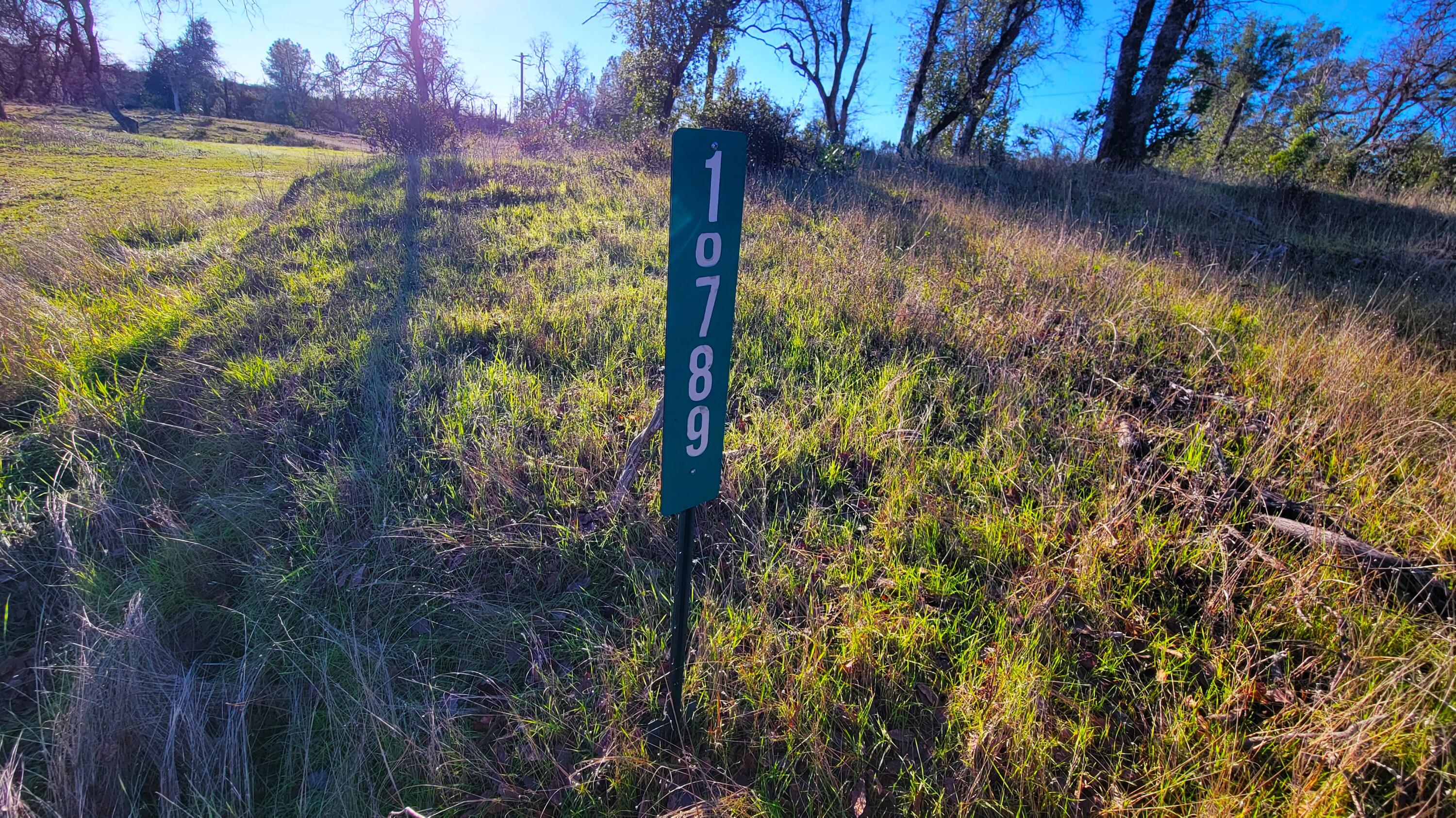 10789 Beehive Road Redding, CA 96001 - Photo 3 of 9 a view of a lake from a yard