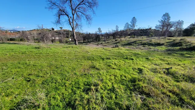 a view of a field with a tree in the background