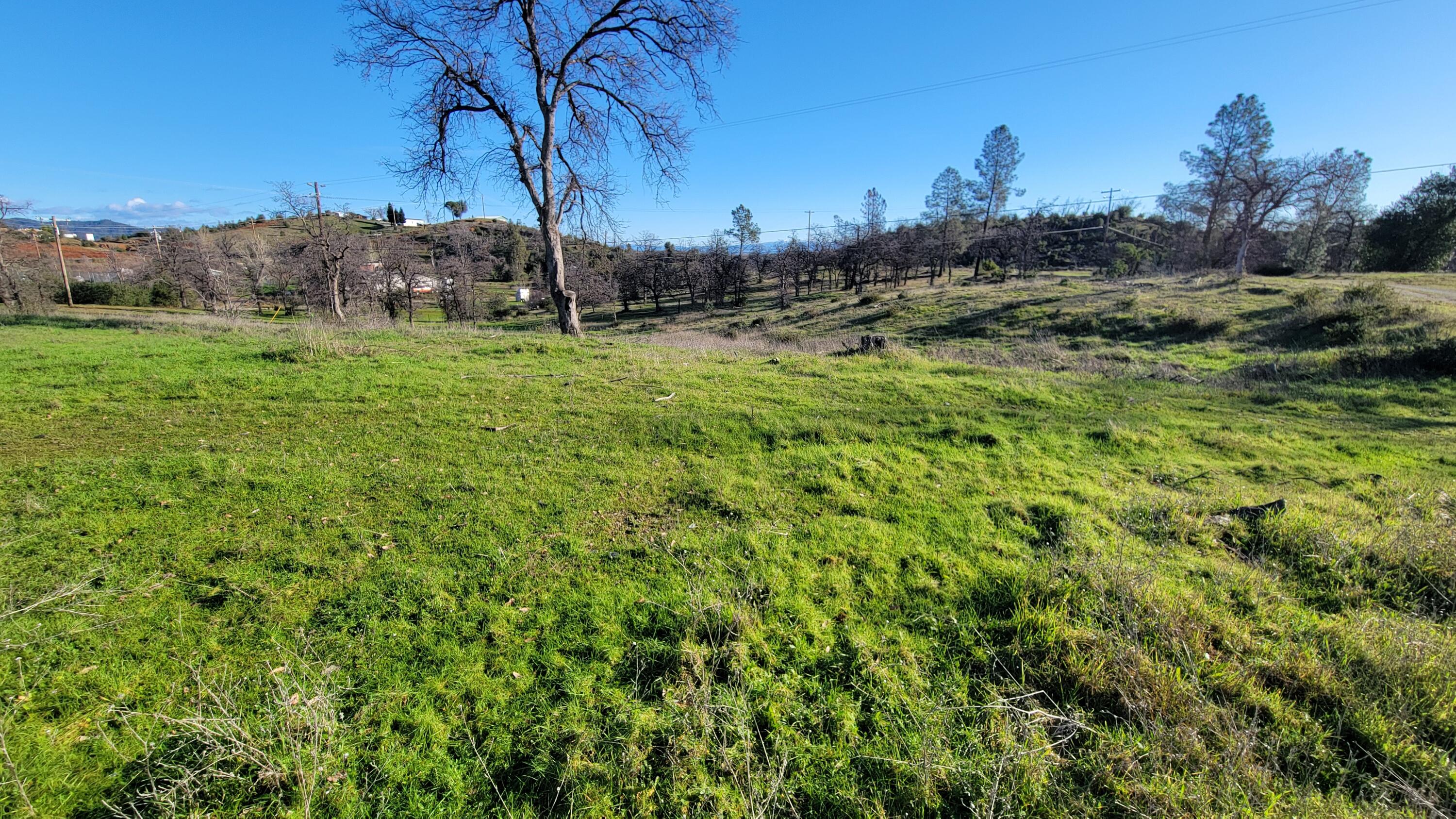 10789 Beehive Road Redding, CA 96001 - Photo 4 of 9 a view of a field with a tree in the background