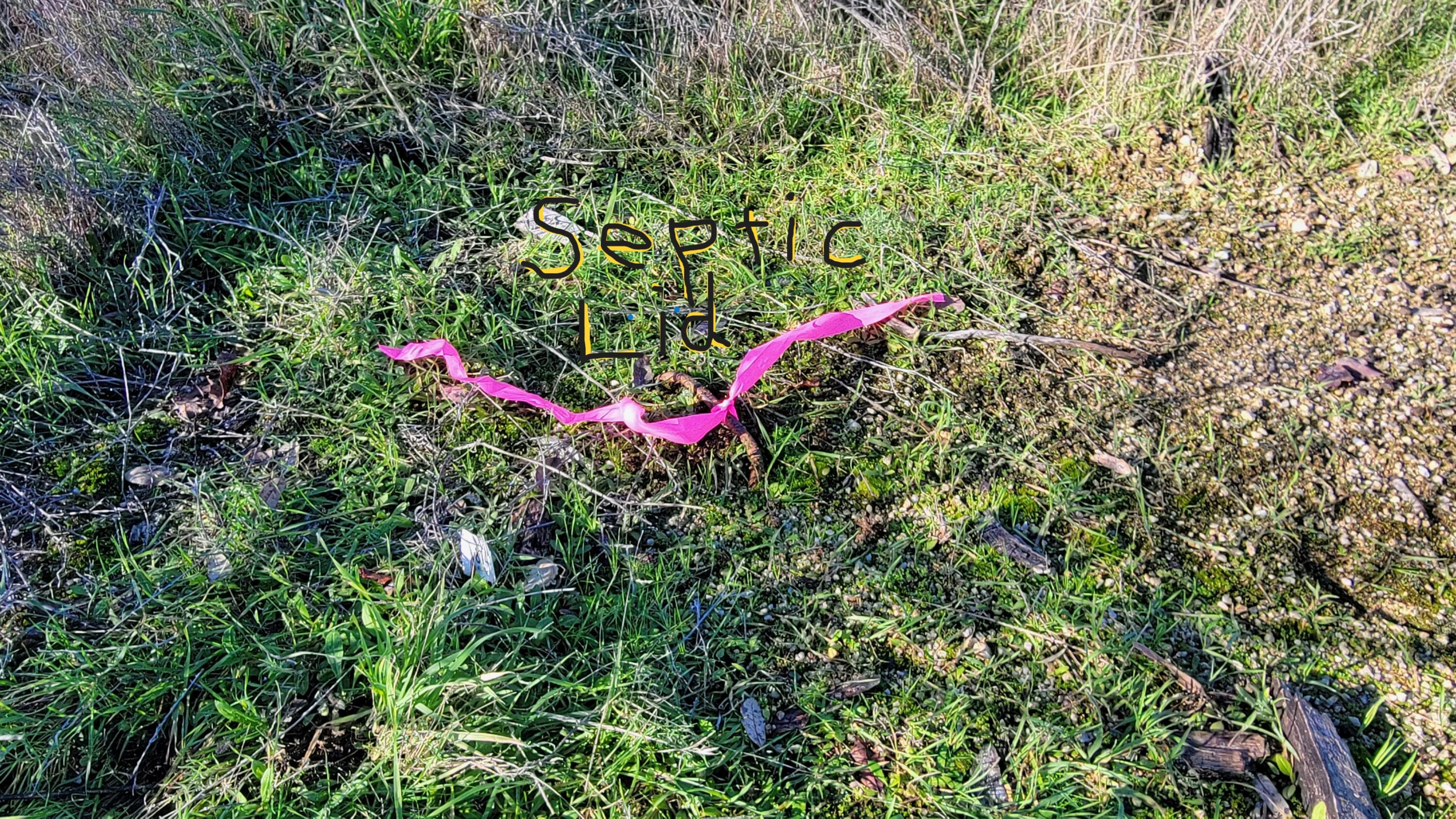 10789 Beehive Road Redding, CA 96001 - Photo 5 of 9 a view of a flower garden