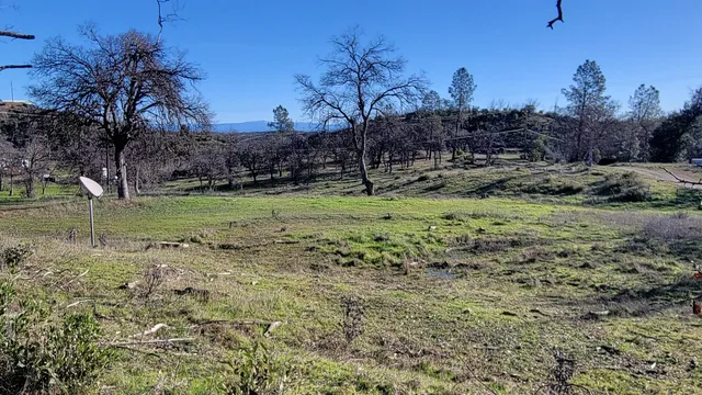 a view of a green field with lots of bushes