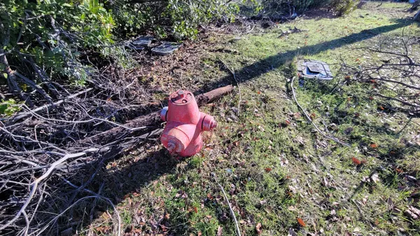 a aerial view of a house with a yard and large trees