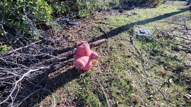 a aerial view of a house with a yard and large trees