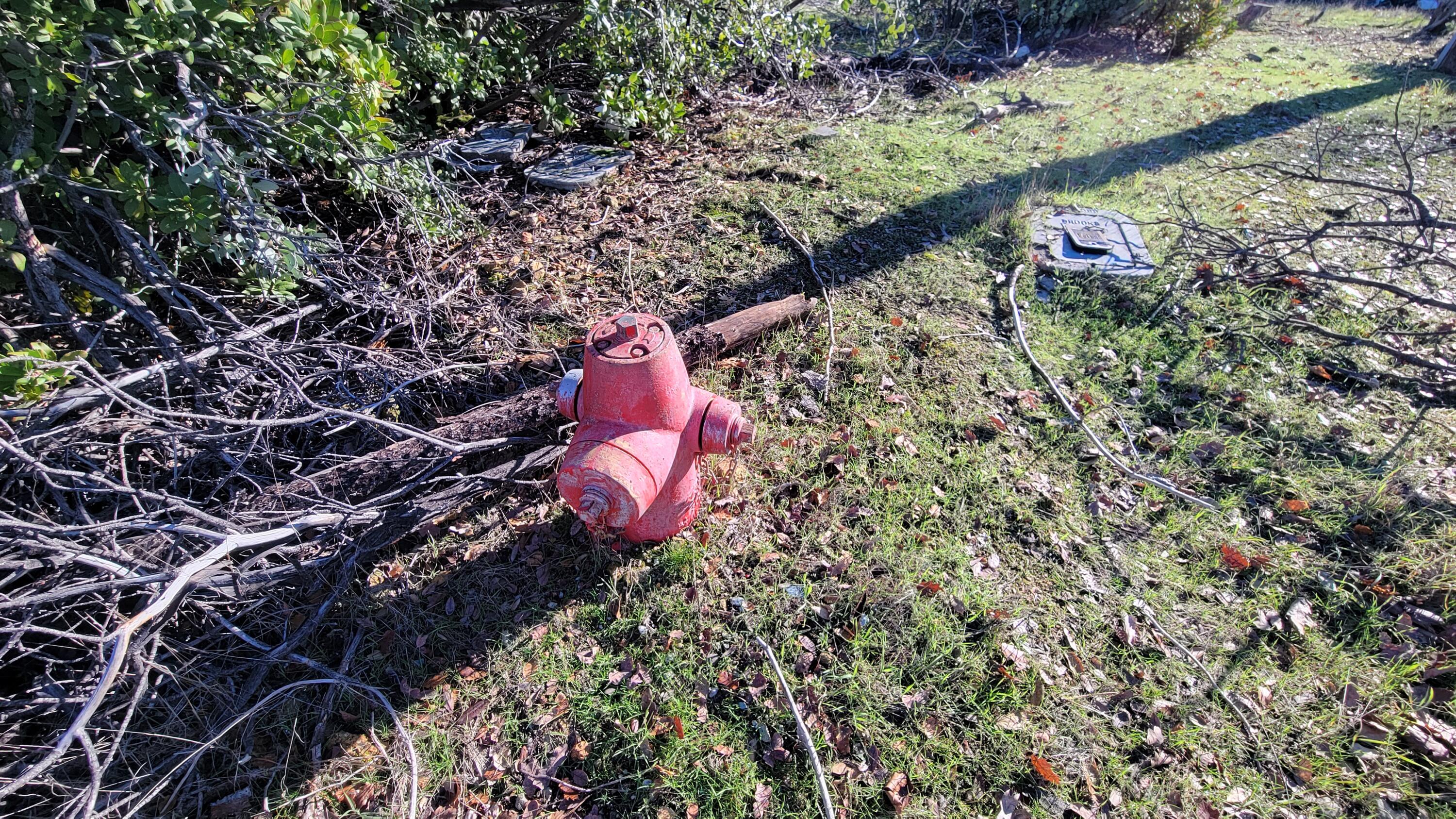 10789 Beehive Road Redding, CA 96001 - Photo 8 of 9 a aerial view of a house with a yard and large trees