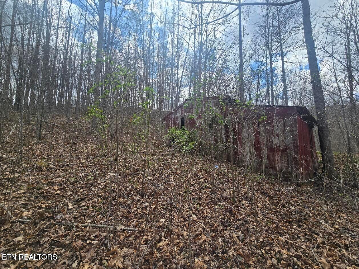 0 Straight Fork Road Huntsville, TN 37756 - Photo 11 of 14 20250410234909163085000000-o