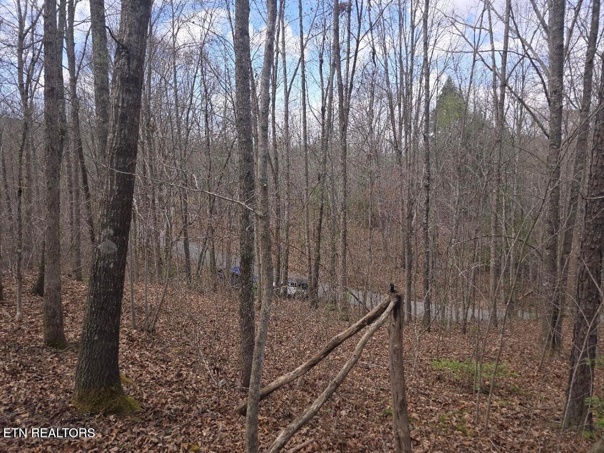 0 Straight Fork Road Huntsville, TN 37756 - Photo 12 of 14 20250410234906671232000000-o