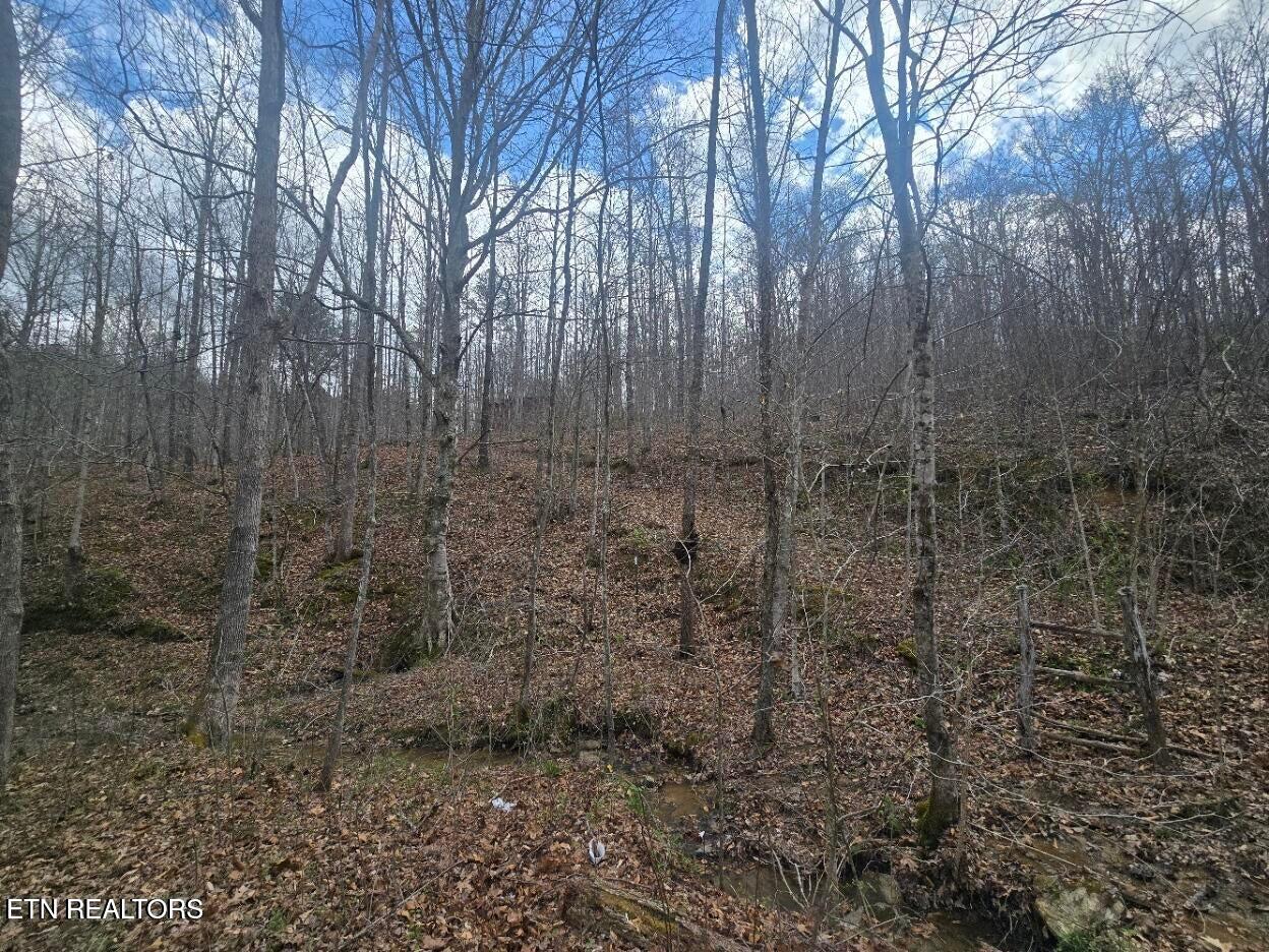 0 Straight Fork Road Huntsville, TN 37756 - Photo 14 of 14 20250410234912965313000000-o