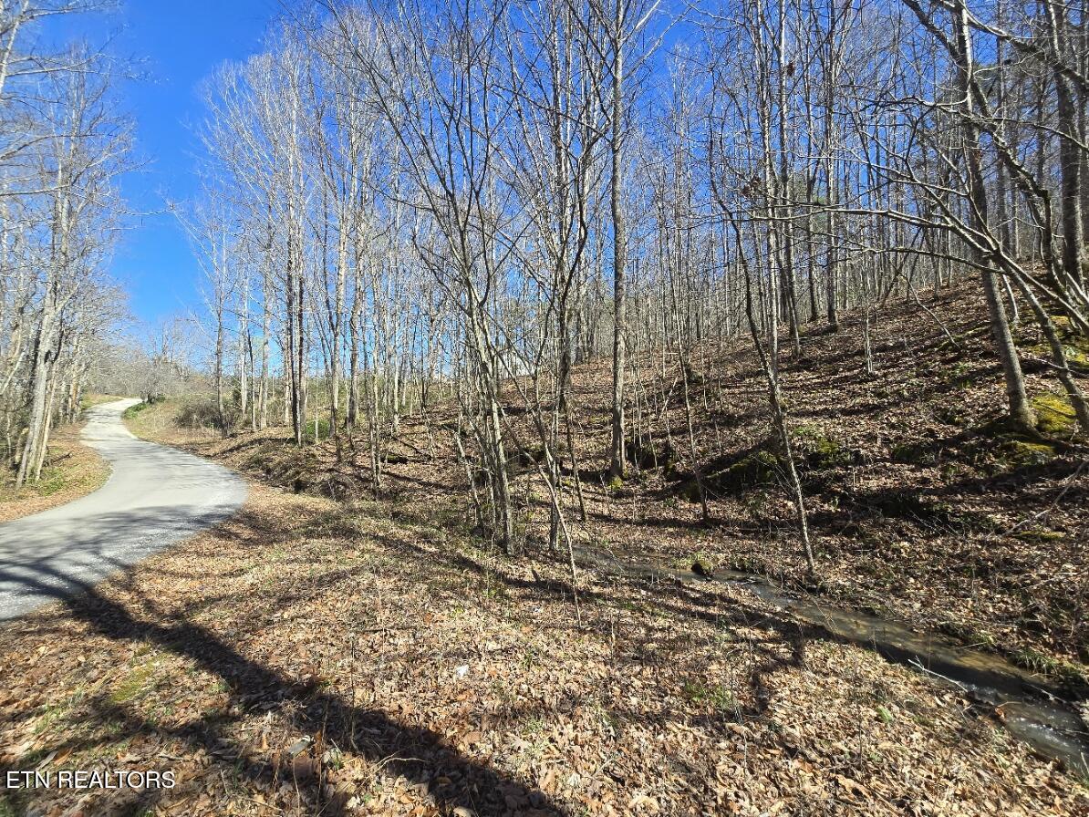 0 Straight Fork Road Huntsville, TN 37756 - Photo 2 of 14 20260312_142243
