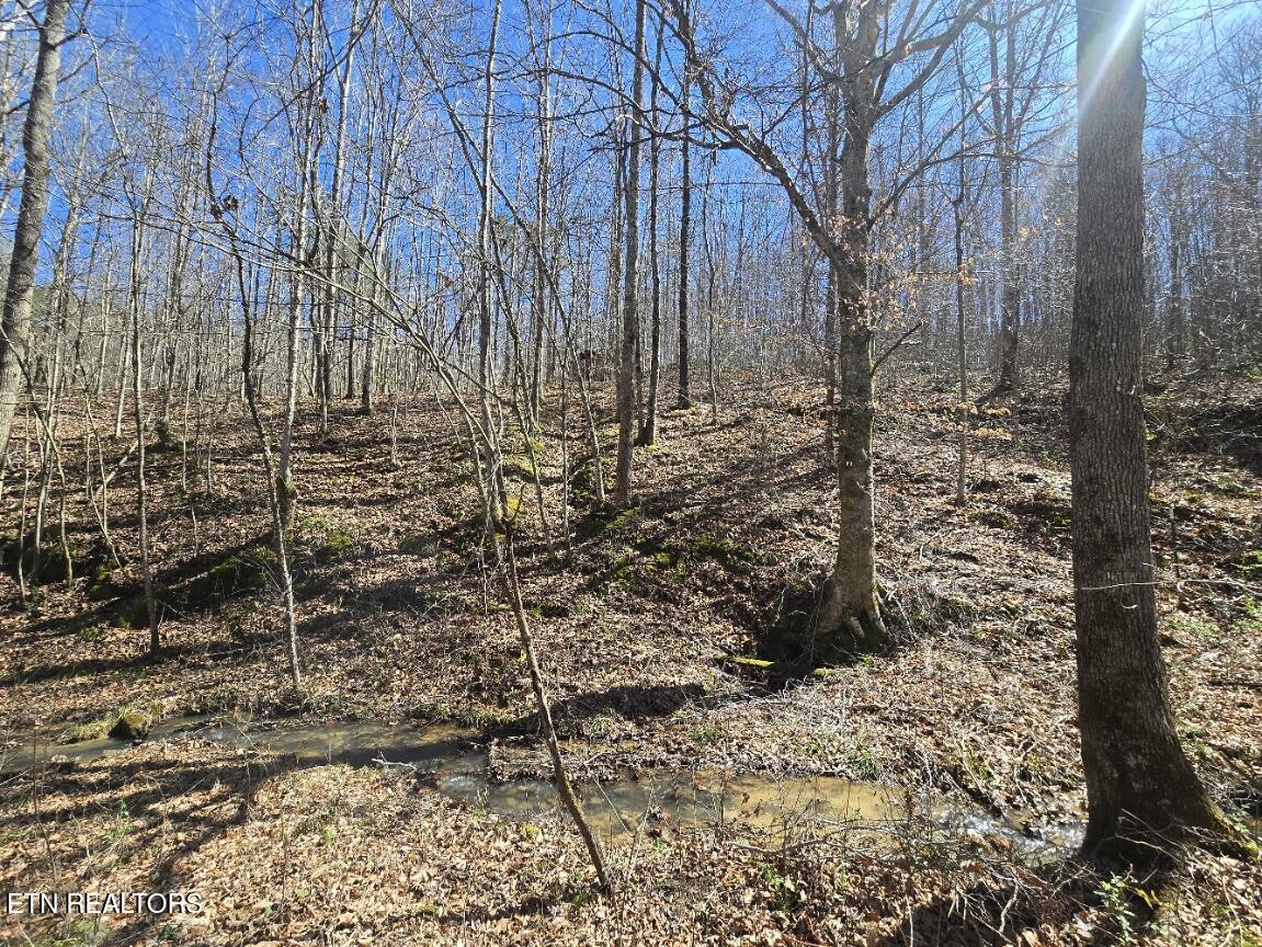 0 Straight Fork Road Huntsville, TN 37756 - Photo 4 of 14 20260312_142240
