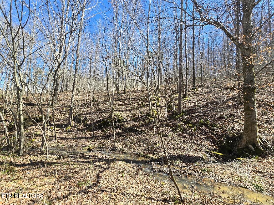 0 Straight Fork Road Huntsville, TN 37756 - Photo 5 of 14 20260312_142245