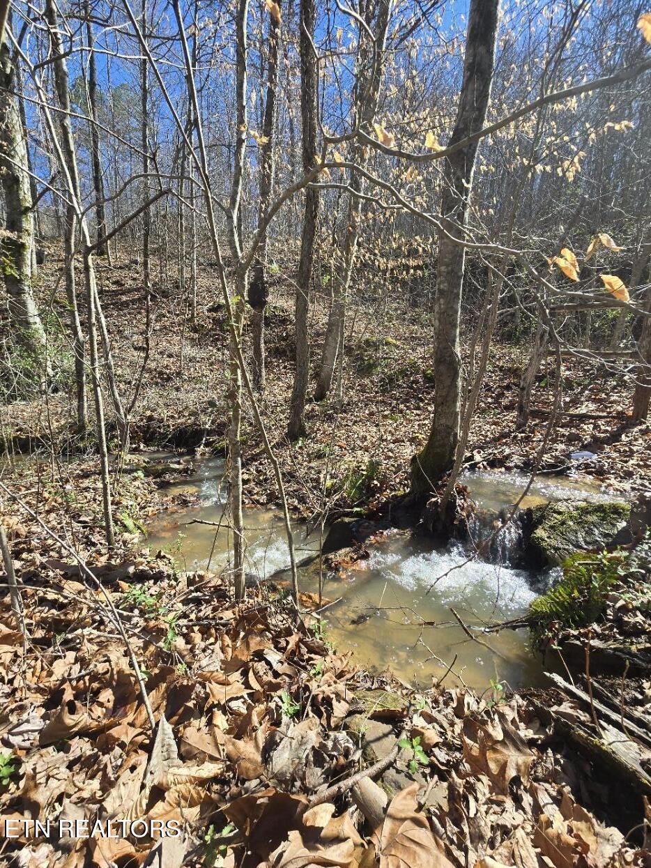 0 Straight Fork Road Huntsville, TN 37756 - Photo 6 of 14 20260312_142302