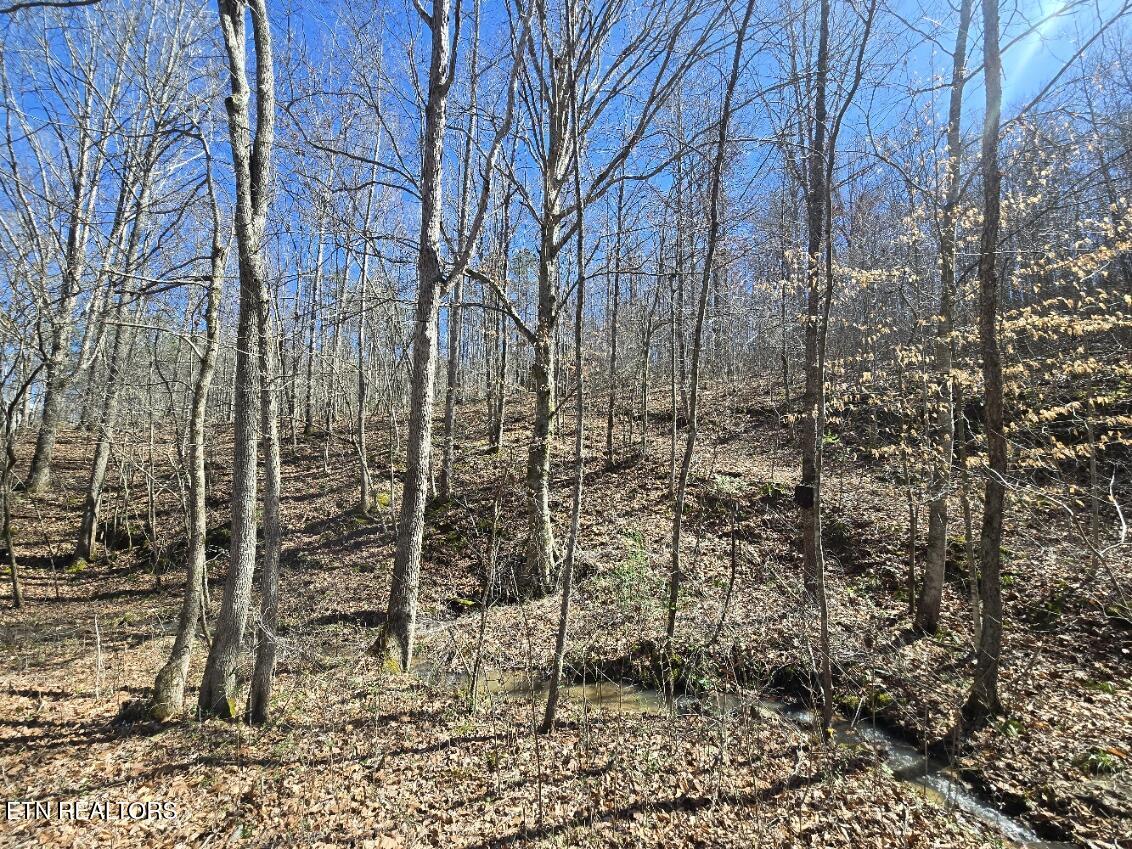 0 Straight Fork Road Huntsville, TN 37756 - Photo 7 of 14 20260312_142319