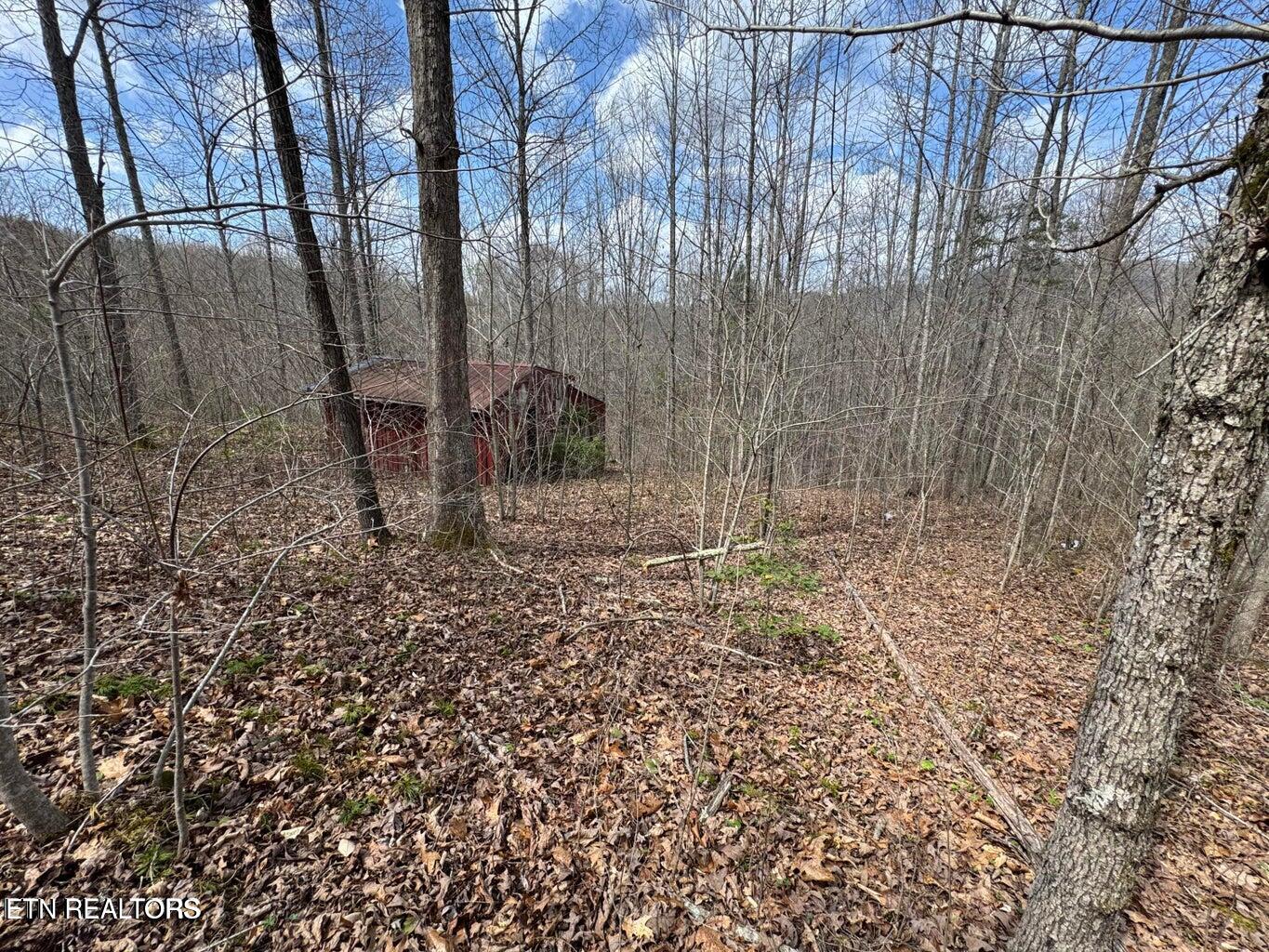 0 Straight Fork Road Huntsville, TN 37756 - Photo 9 of 14 20250411185913942651000000-o