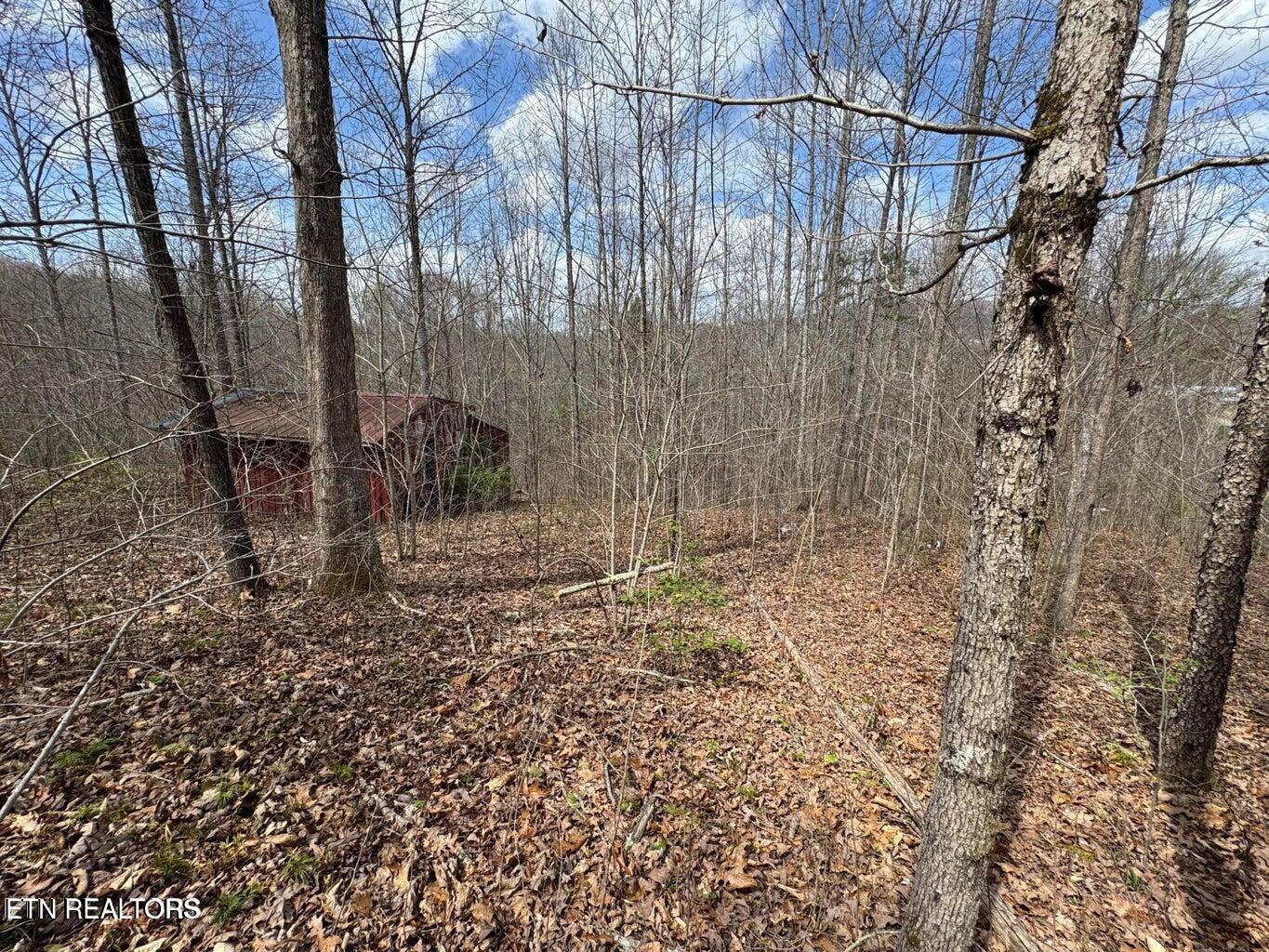 0 Straight Fork Road Huntsville, TN 37756 - Photo 10 of 14 20250411185909394514000000-o