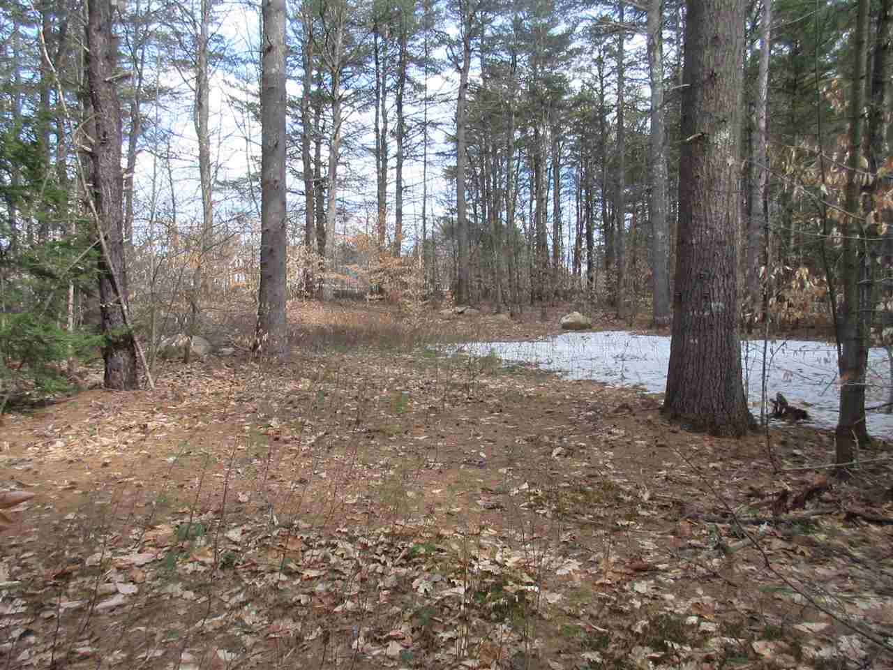 7 Beach Road Center Conway, NH 03813 - Photo 5 of 13 Gallery Image 5